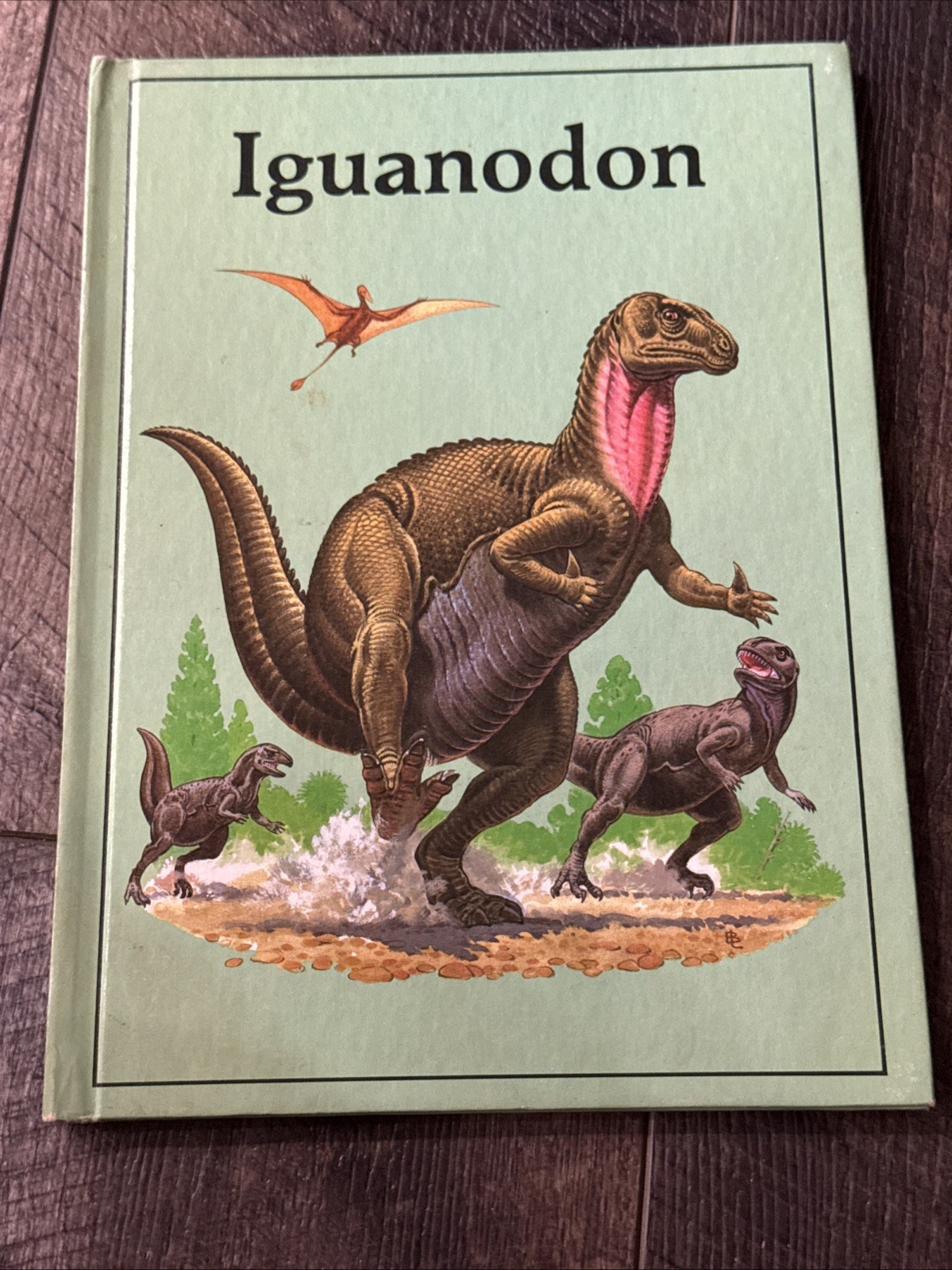 Vintage Rourke Dinosaur Library Hardcover Book Lot of 16 Kids Books Educational