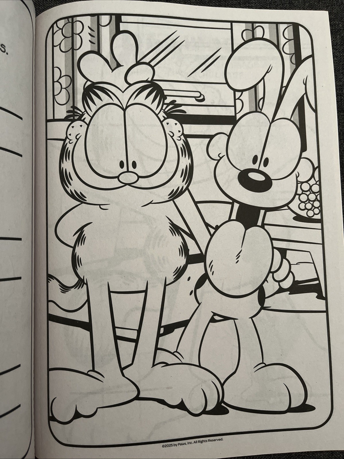 Garfield Jumbo Coloring & Activity Book Puzzles Games & Pages to Color Bendon
