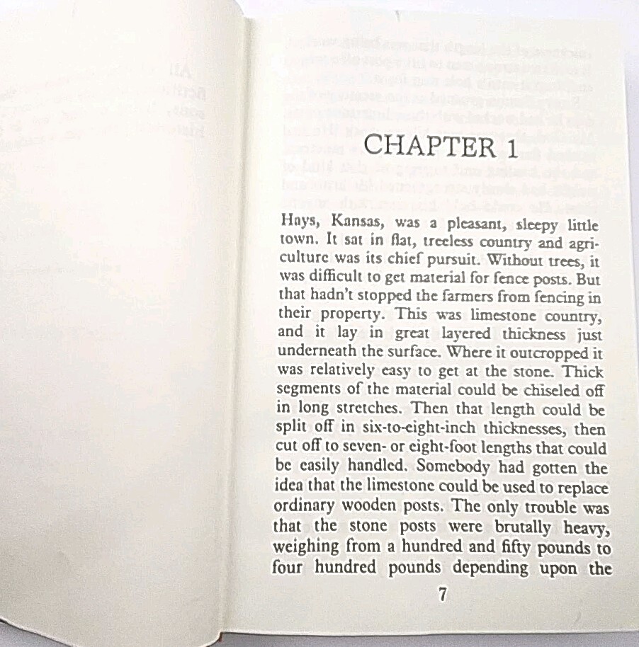 The Tangled Web by Giles A. Lutz LARGE PRINT Edition Hardcover Book 1983