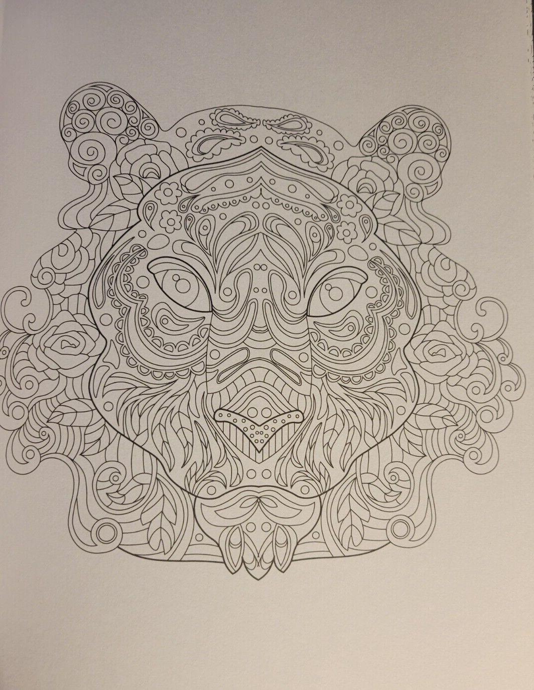 MAGNIFICENT CREATURES Vol 19 – Adult Coloring Book by TOPIX MEDIA – 47 PRINTS