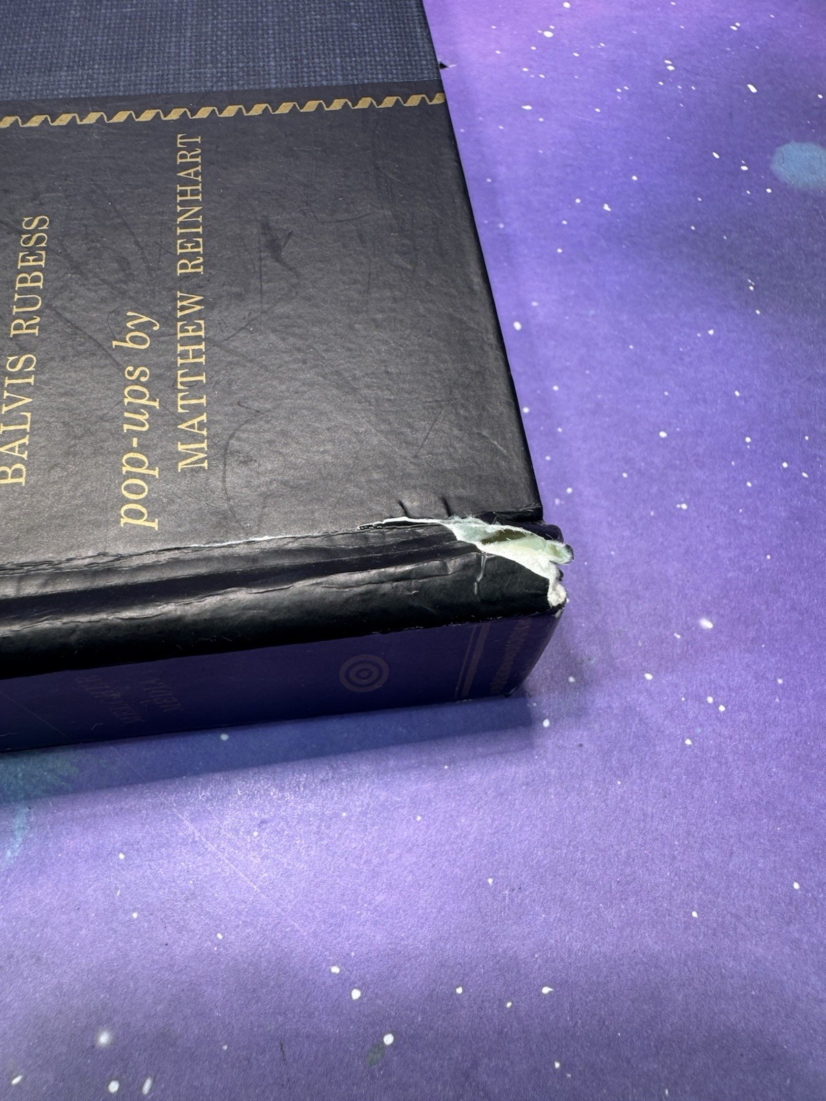 The Pop-Up Book of Phobias Gary Greenberg Matthew Reinhart Hardcover 1st Ed