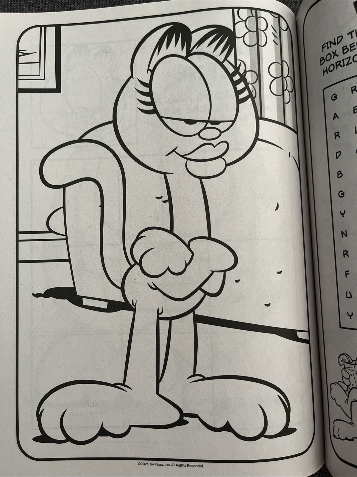 Garfield Jumbo Coloring & Activity Book Puzzles Games & Pages to Color Bendon