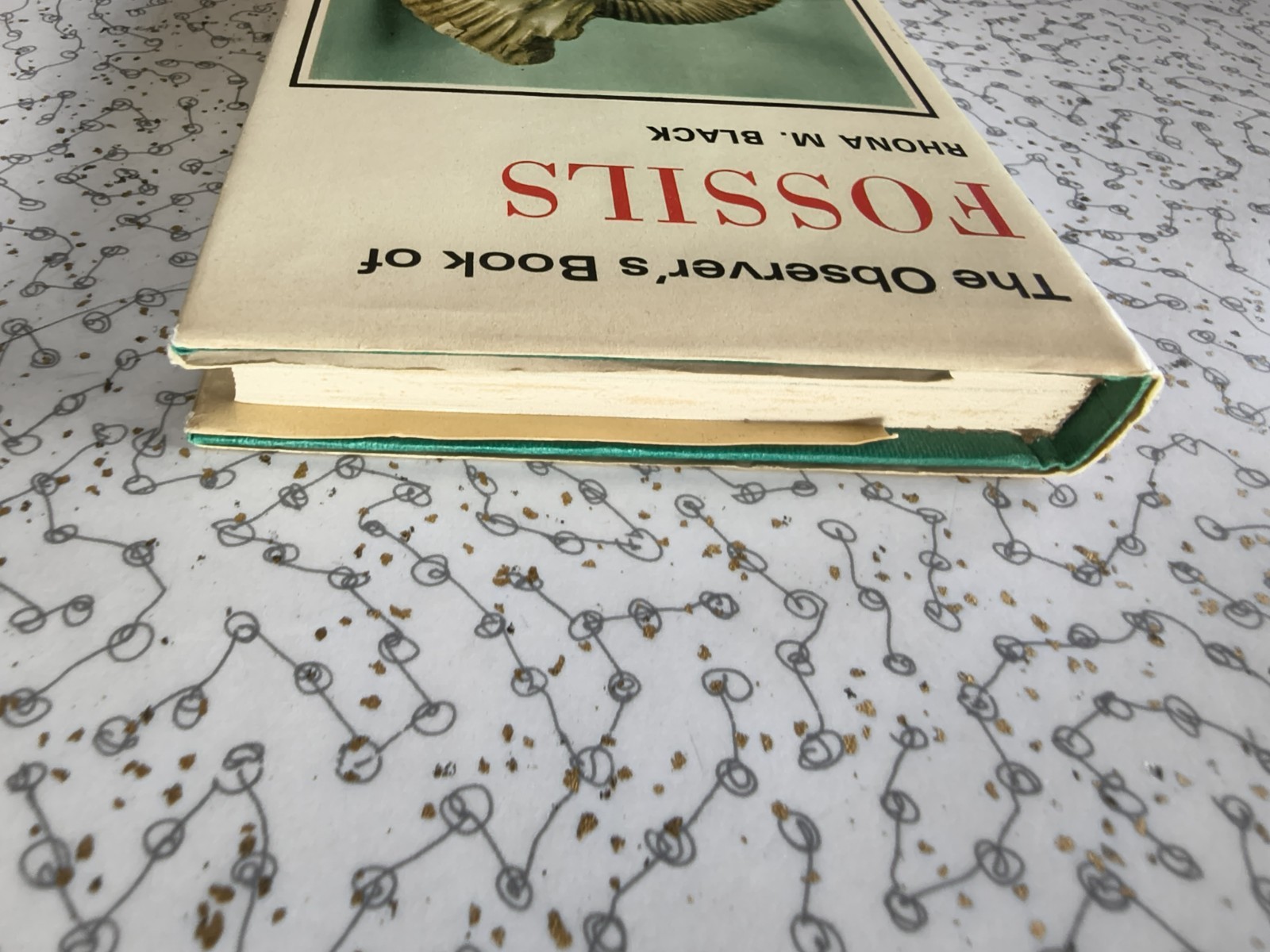 The Observer’s Book of Fossils by Rhona M. Black 1977 First Edition Hardback