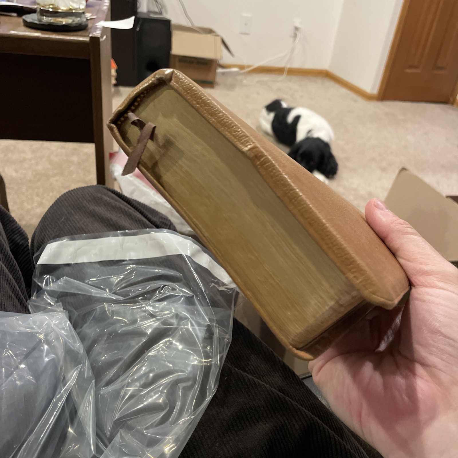 Harper Study Bible, RSV Tan Genuine Top Grain Leather