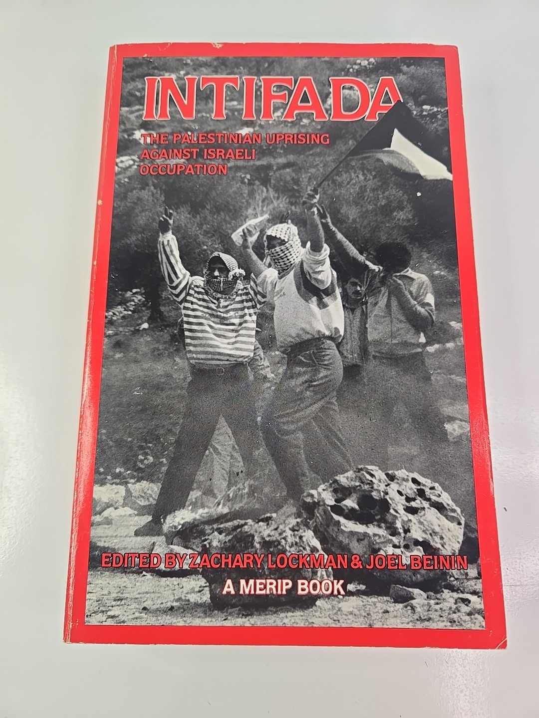 Intifada The Palestinian Uprising Against Israeli Occupation TPB G-418