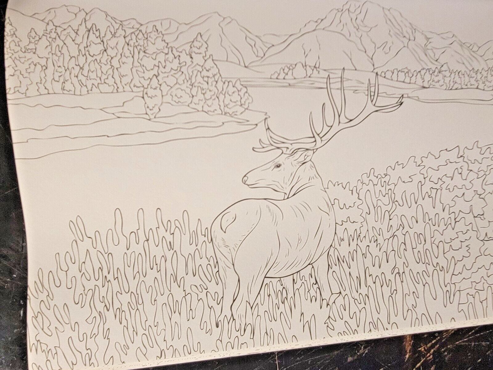COLORS OF THE WILD! Vol. 16 Adult Coloring Book With 47 Prints Ready To Frame!