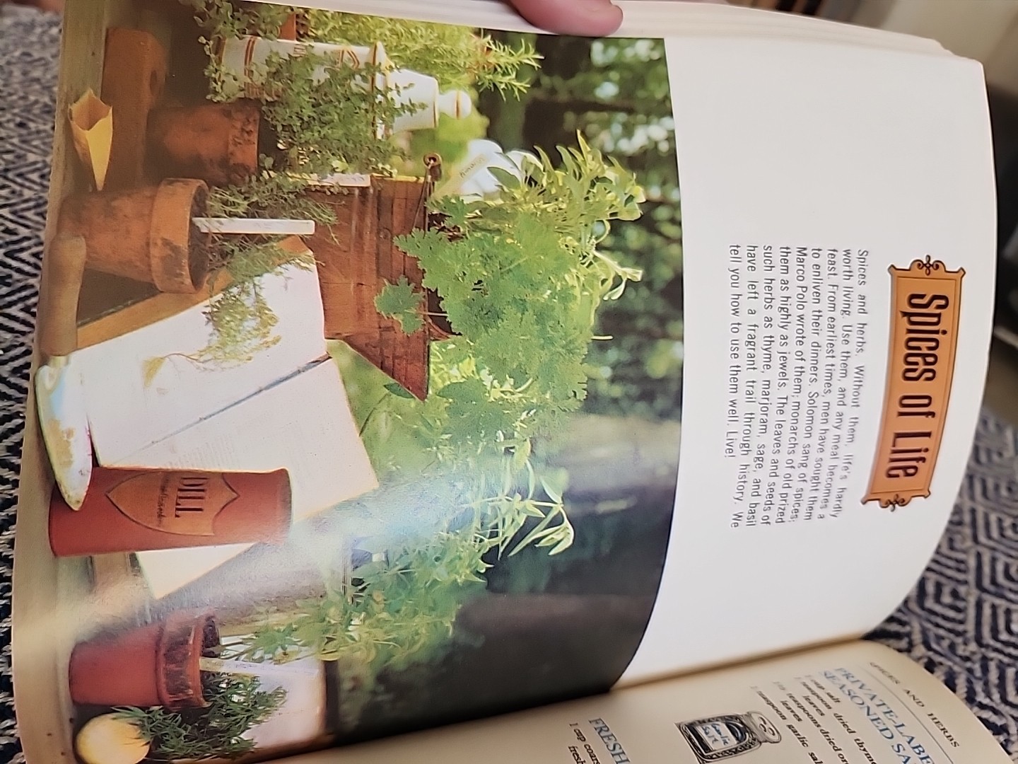 McCall’s Cookbook Red Cover 1963 1st Printing Vintage Hard Cover