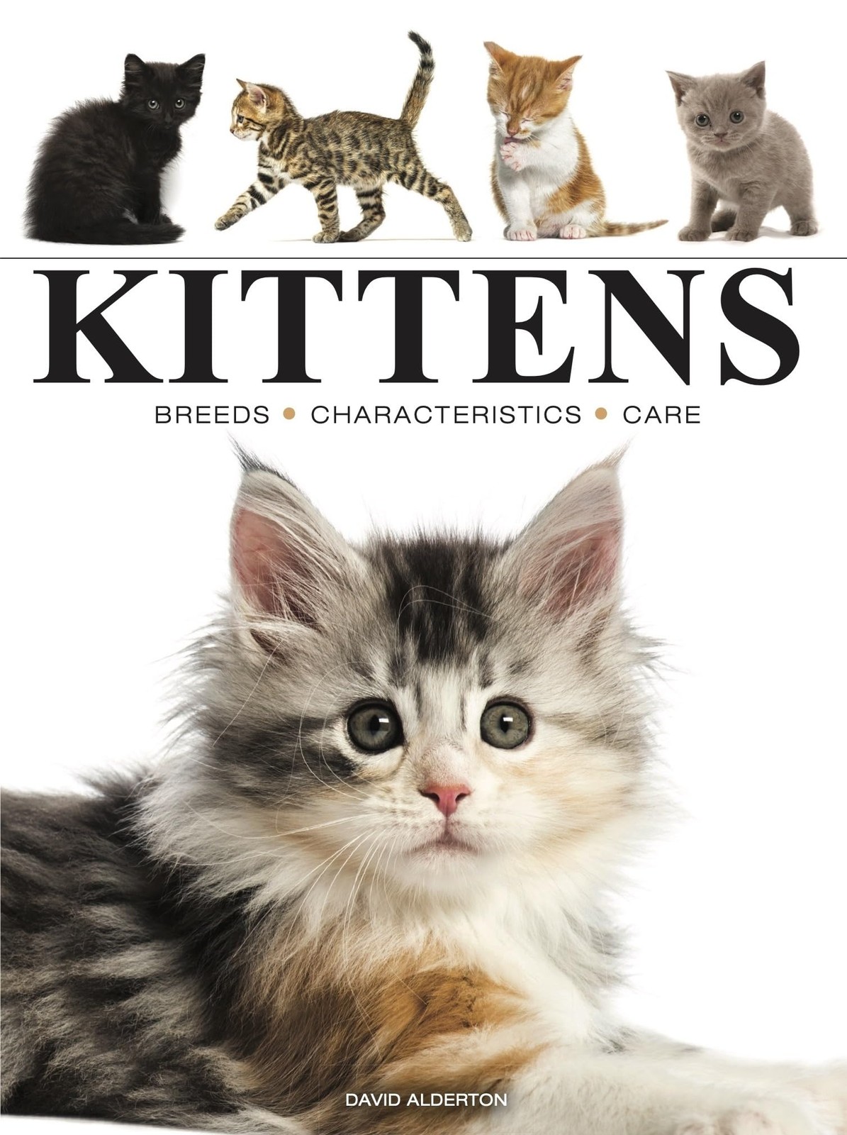 Kittens (Mini Encyclopedias)
