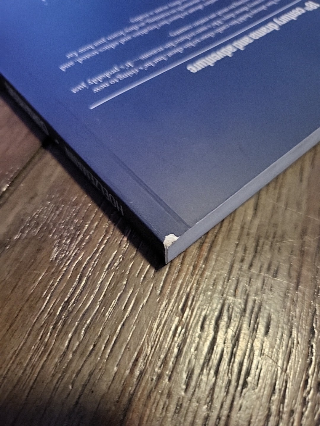 Curia Regis – Volume I., L. Robin Hoelzemann, Privately Published
