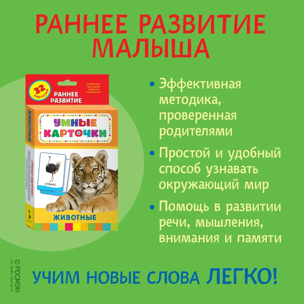 Животные. Развивающие карточки 0+ Kids Book in Russian