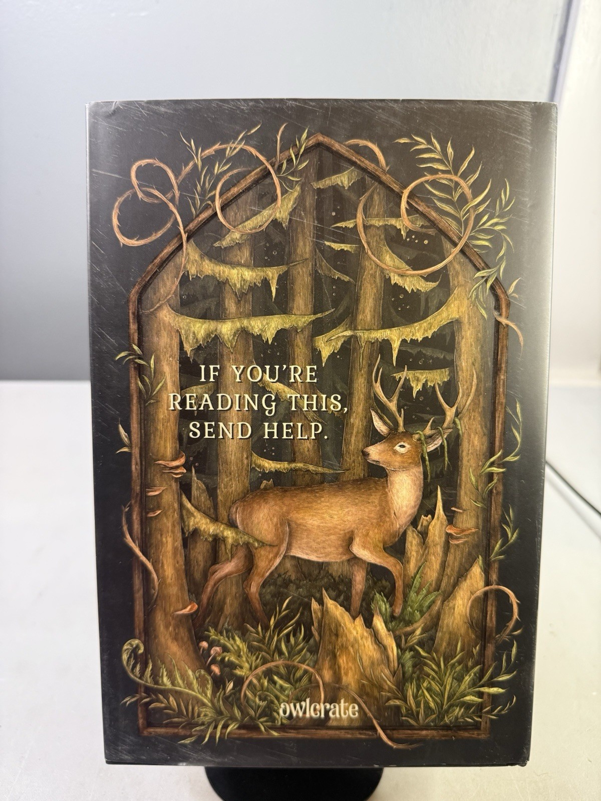 What The Woods Took Book by Courtney Gould OwlCrate Signed Edition Sprayed Edges