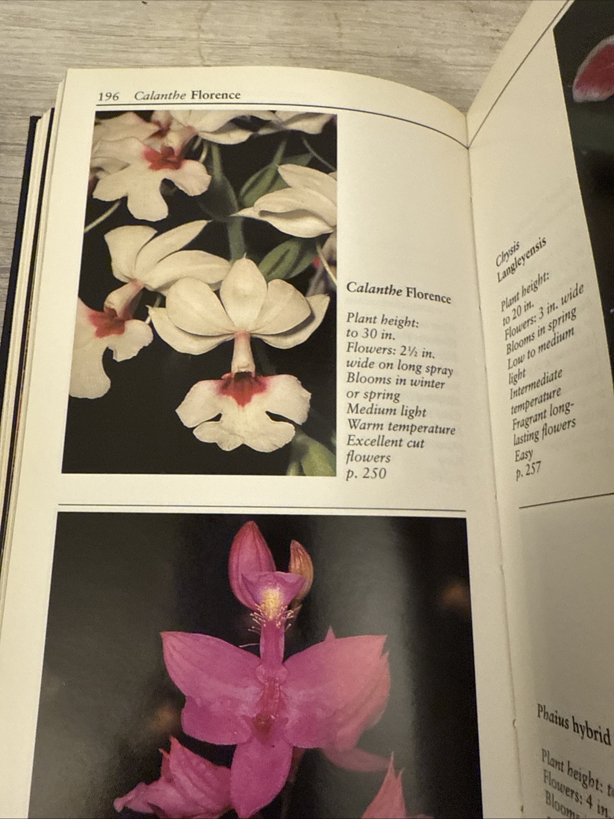Taylor’s Guide to Orchids : More Than 300 Orchids, Photographed and…