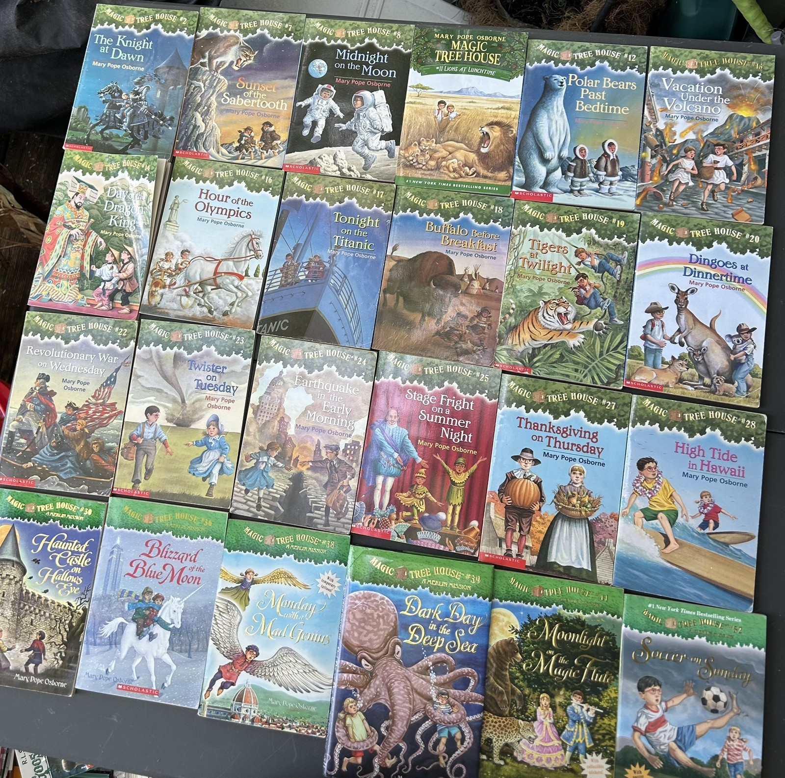 Lot Of 26 Magic Treehouse books by Mary Pope Osborne & Natalie Pope Boyce