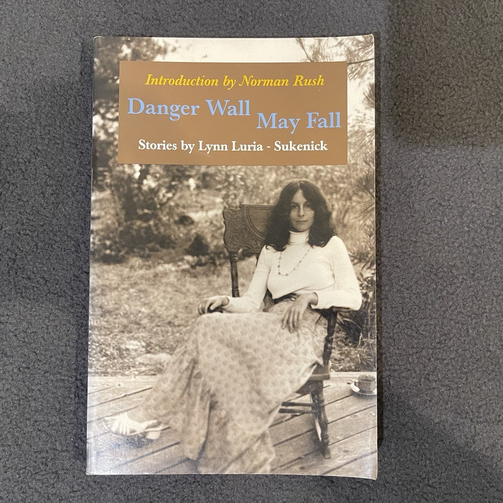 Danger Wall May Fall — Lynn Luria-Sukenick | Literary Short Stories