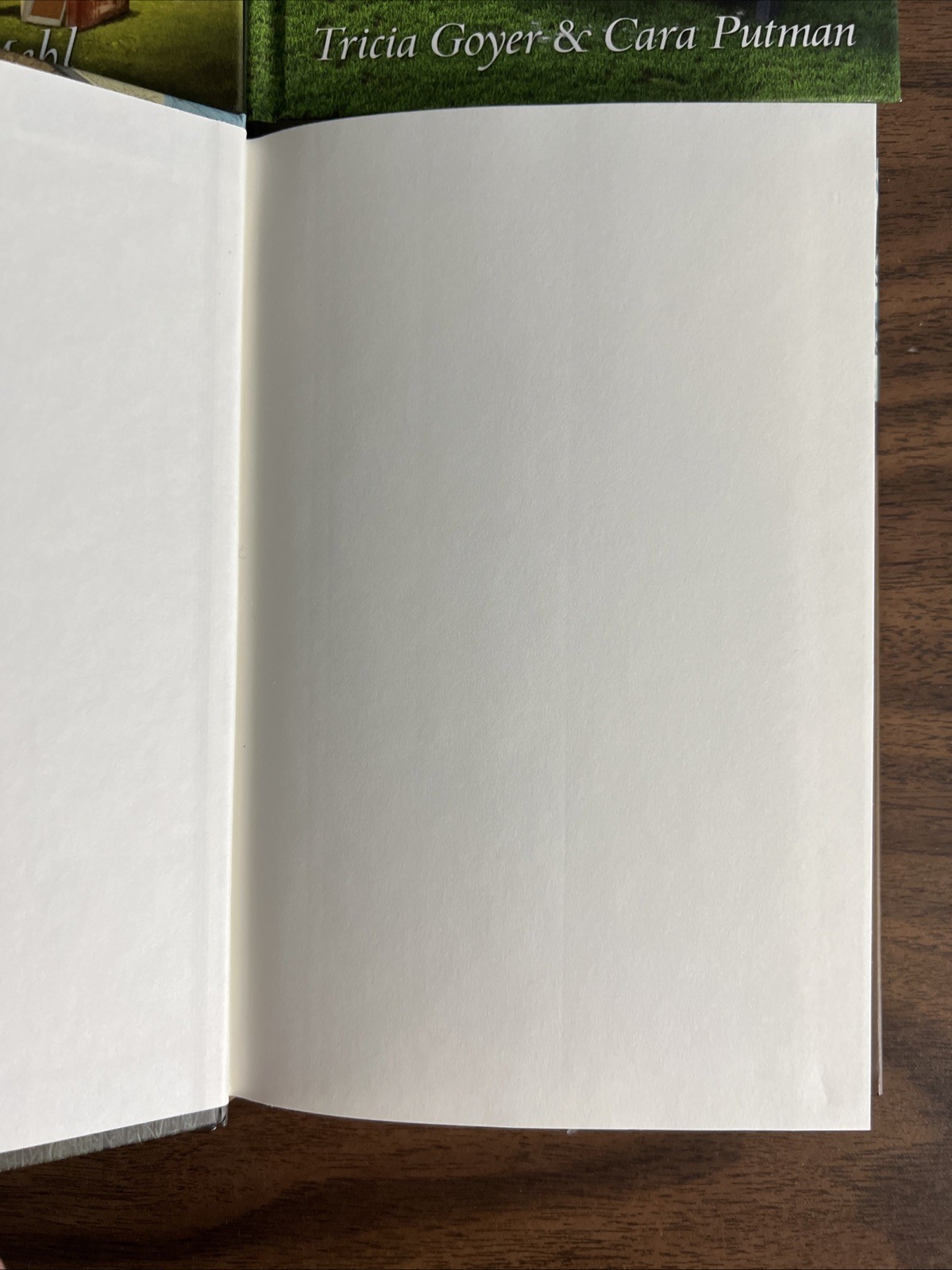 Lot Of 4 Mysteries Of Lancaster County Guideposts Series Hardcover Christian