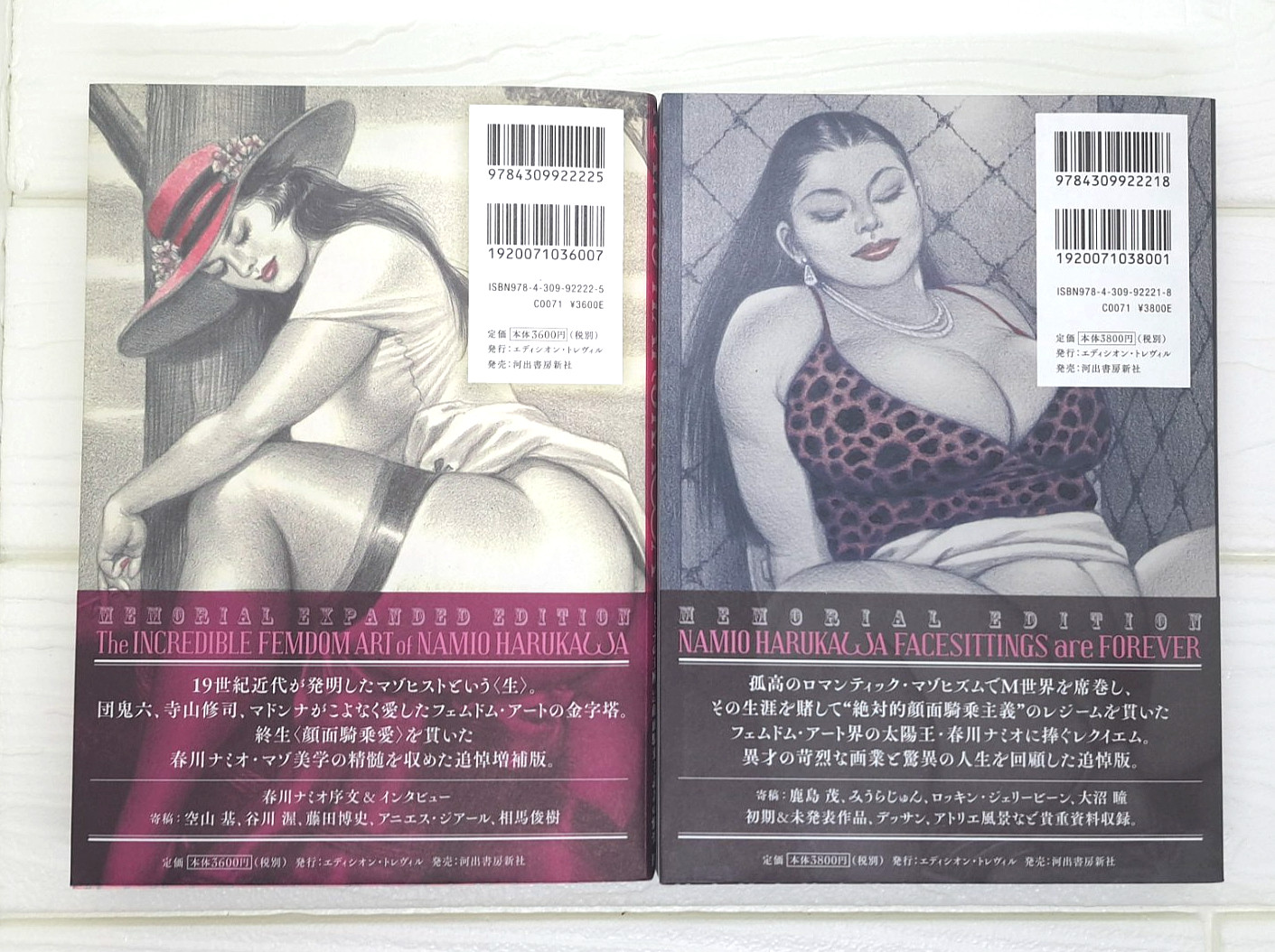 Namio Harukawa Art Book I & II Memorial Edition Set Illustration Book Japan
