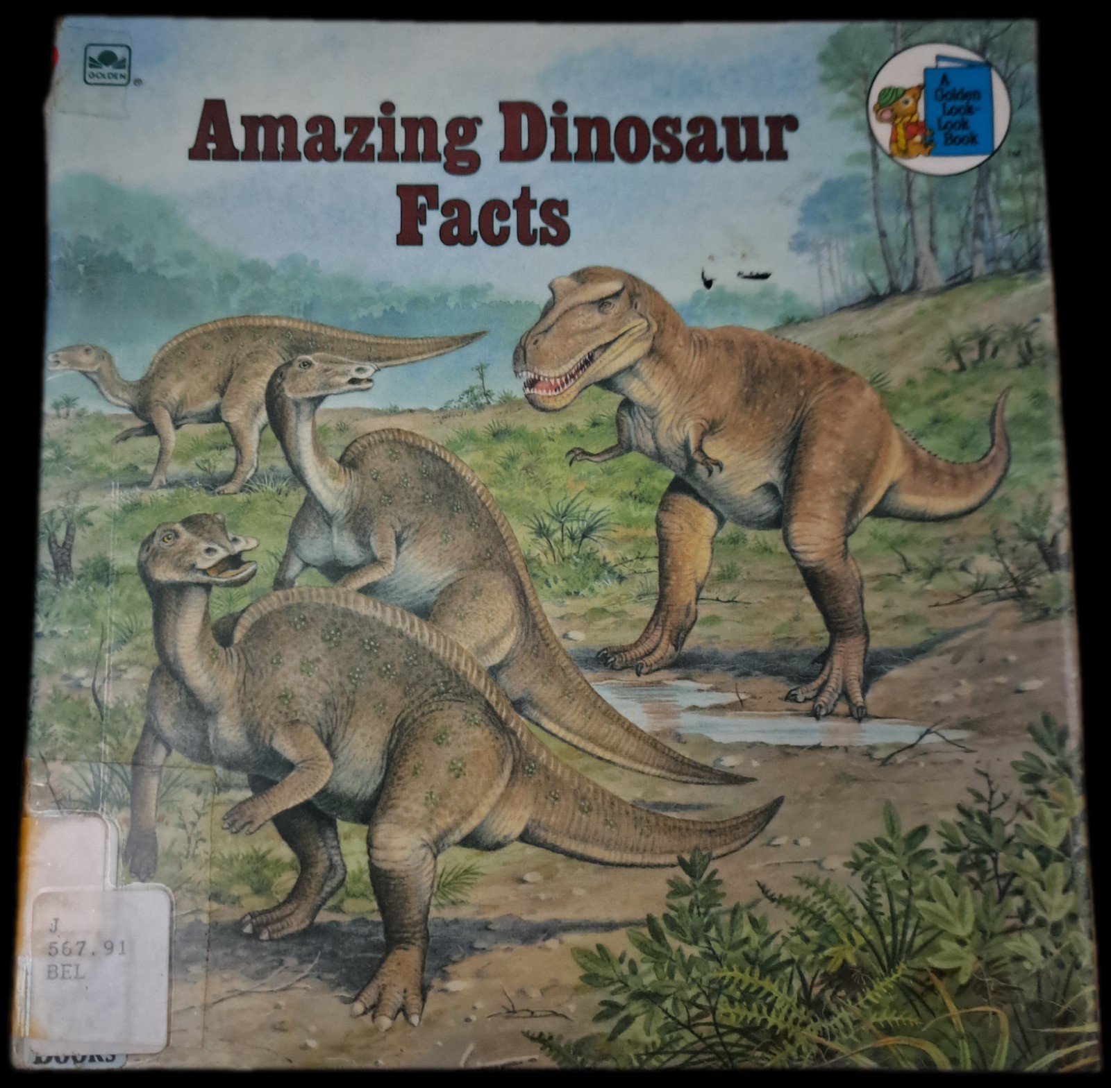 Lot of 7 Dinosaur Prehistoric Era Educational Kids Children Books Dinosaurs 🦕