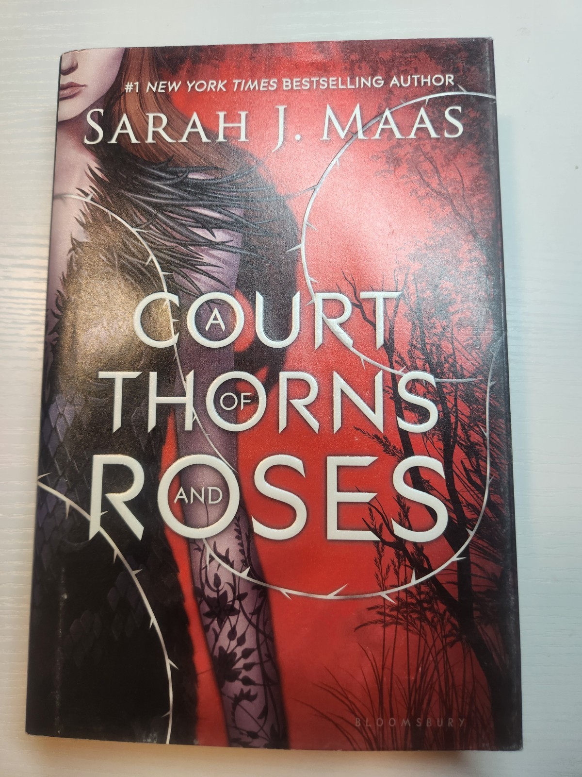 a cort of thorns and roses set