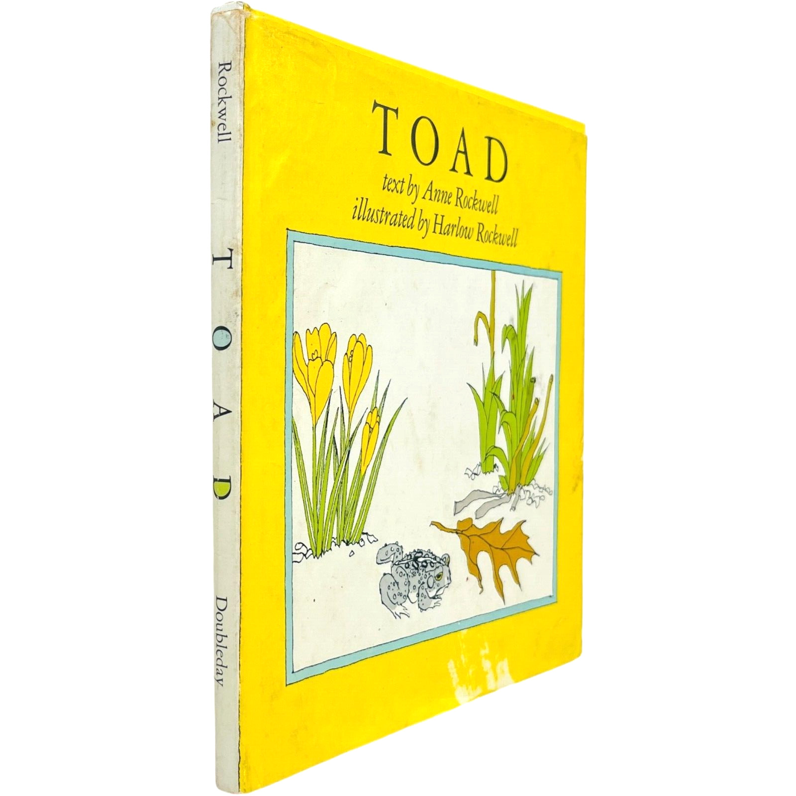 Toad by Anne Rockwell illustrated by Harlow Rockwell – Hardcover Book 1972