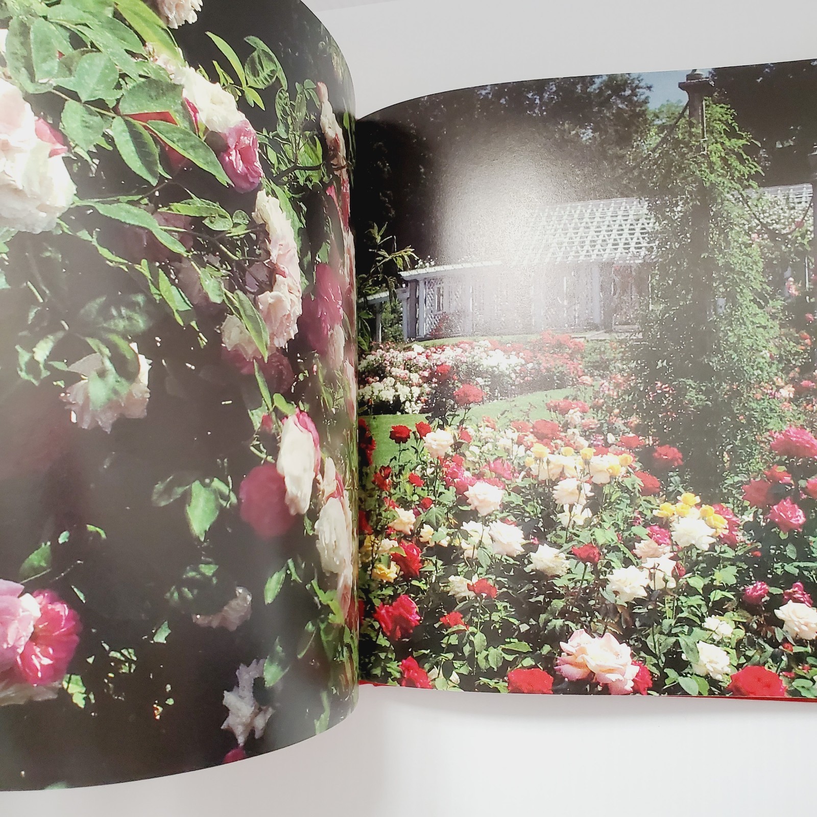 The Romantic Rose Hardcover Book Gift Flowers Gardening Plants