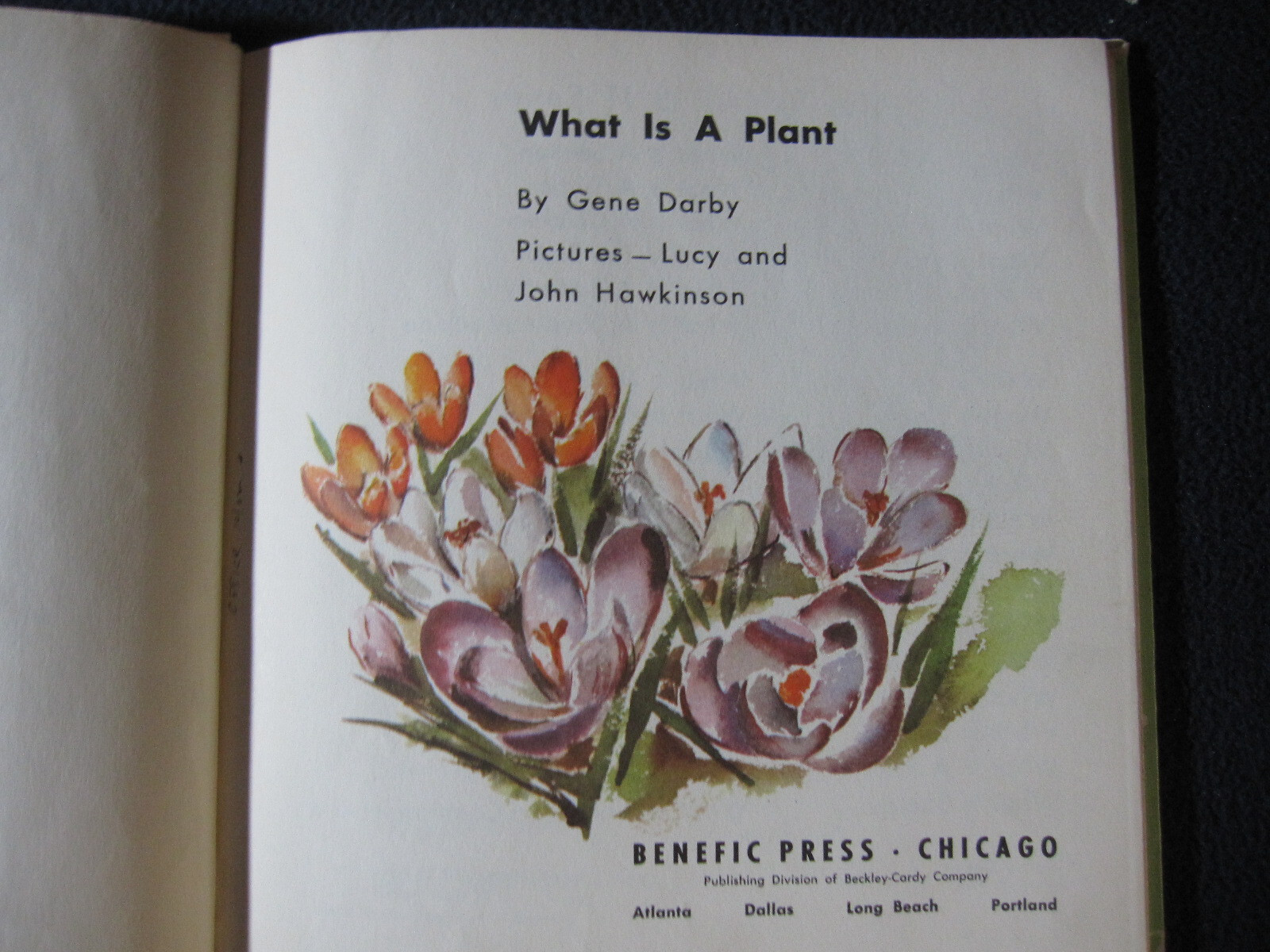 What is a Plant (The What is it series) Darby, Gene