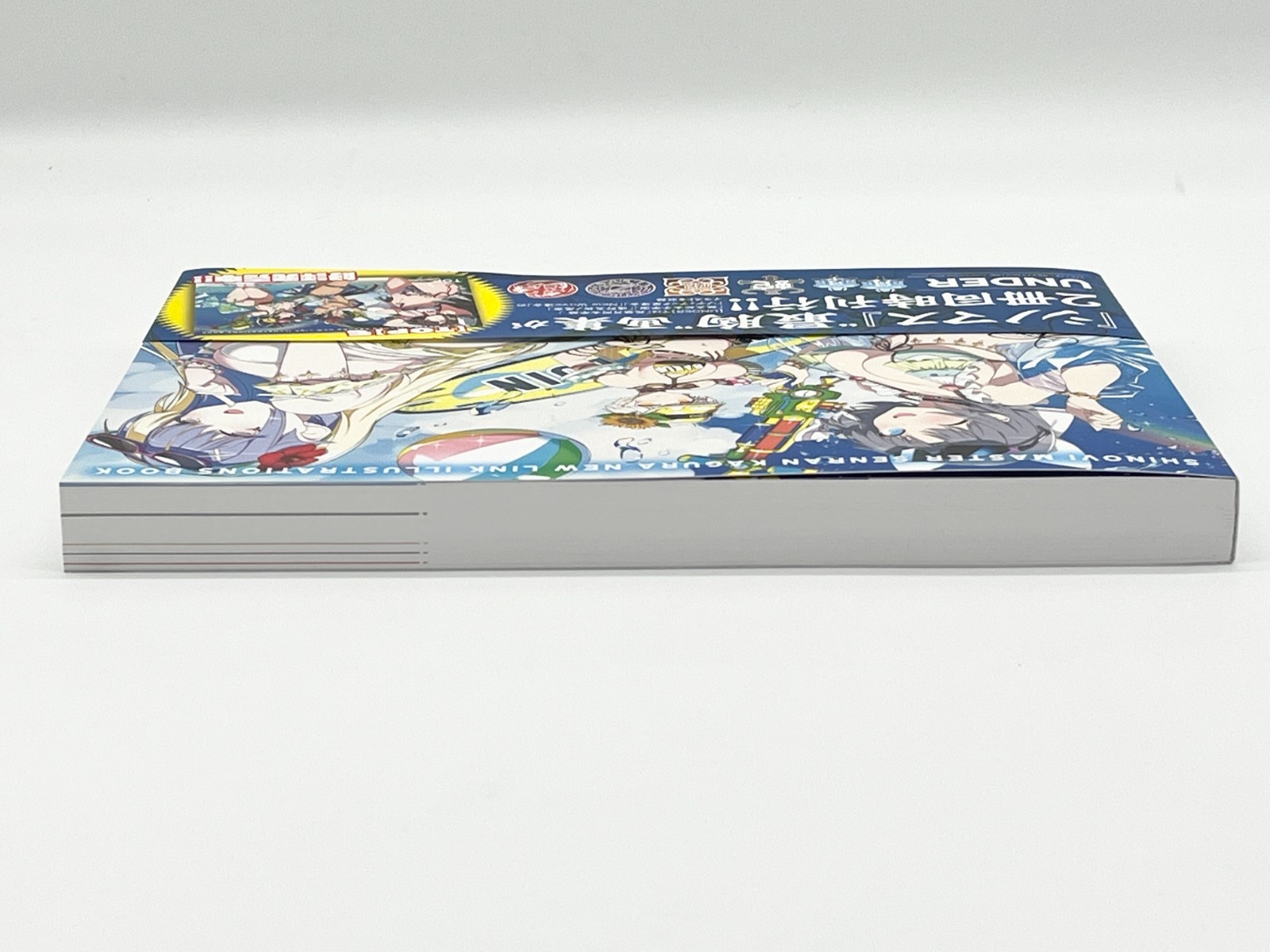 Shinobi Master Senran Kagura New Link Illustrations Book Vol 1-2 Japanese Text