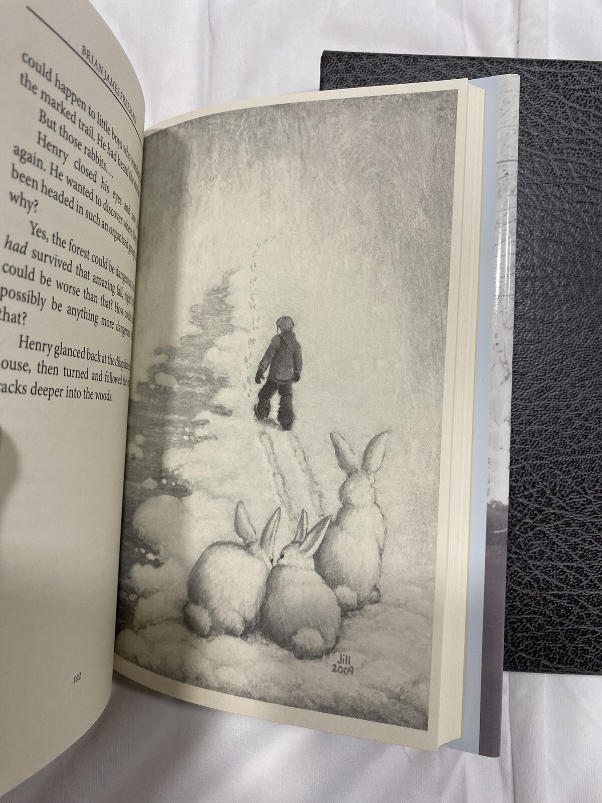 The Painted Darkness by Brian Freeman, SIGNED Limited Edition, HCDJ in Slipcase