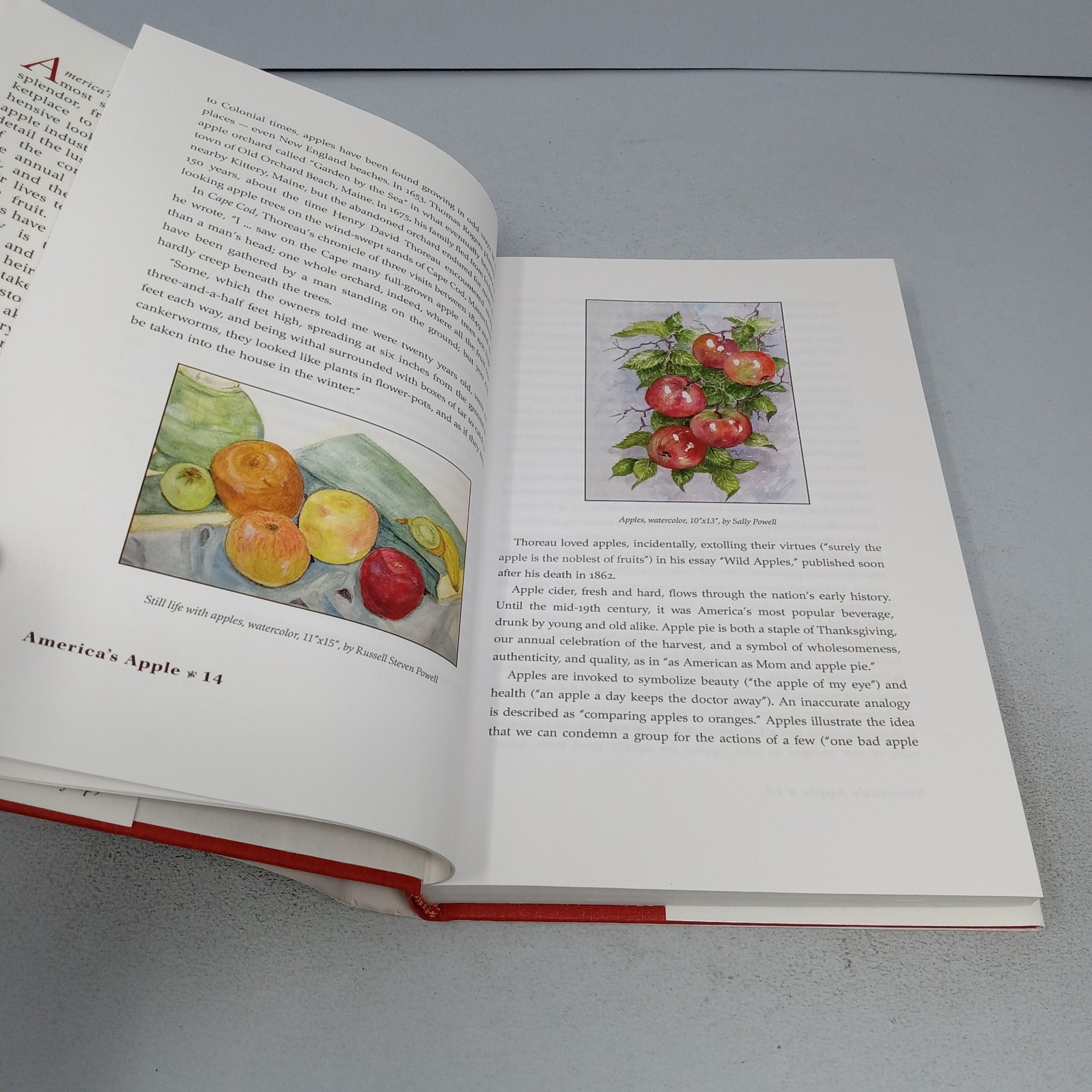 America’s Apple: 2012 Brook Hollow Press Hardcover by Russell Steven Powell