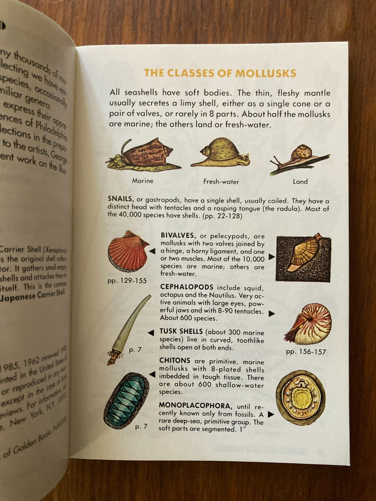 A Golden Guide from St. Martin’s Press Seashells of the World Life Tucker Abbott