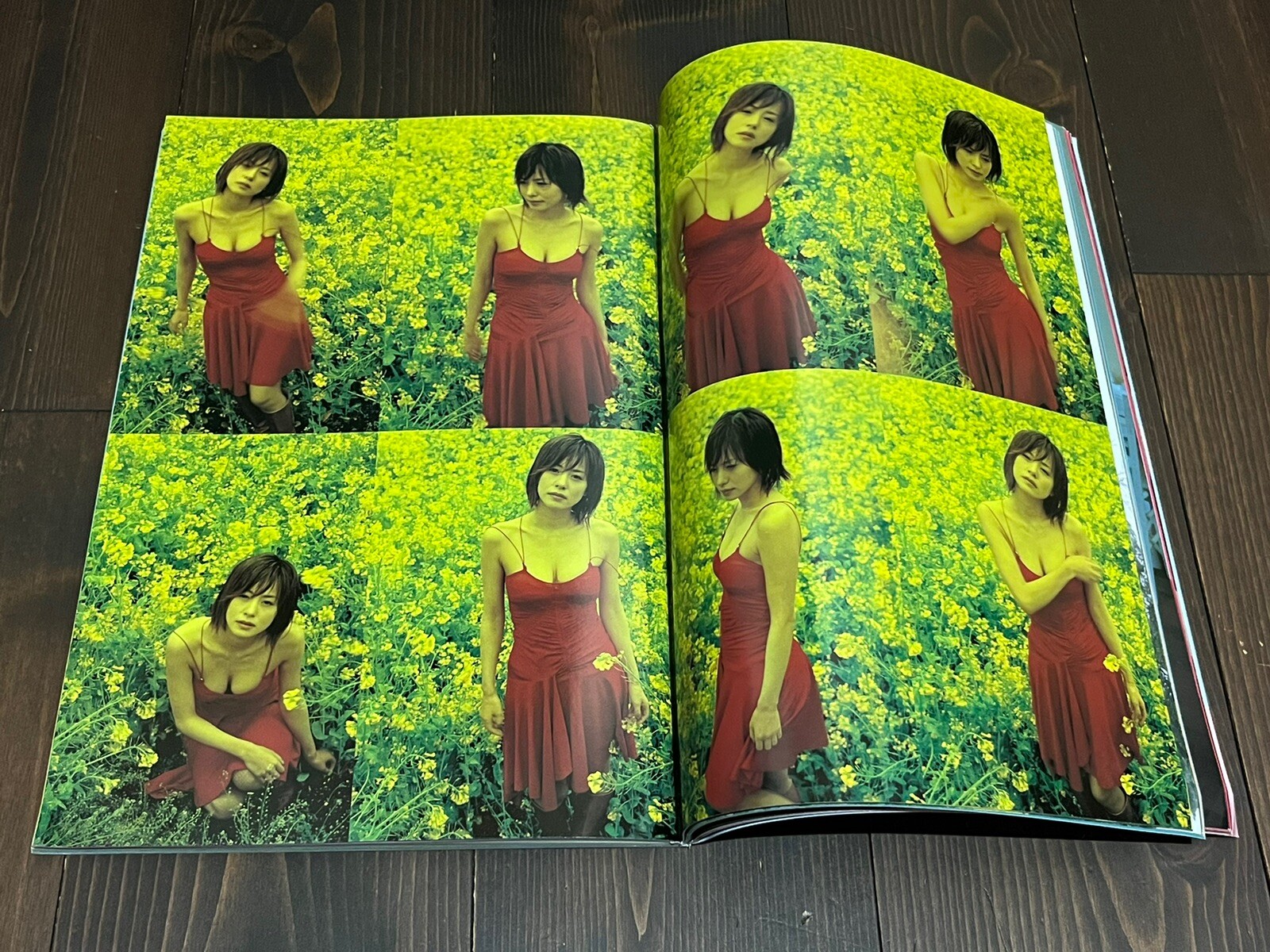 2004 1ST EDITION NOBUYOSHI ARAKI MONTHLY GEKKAN TAMAO SATO JAPANESE PHOTO BOOK