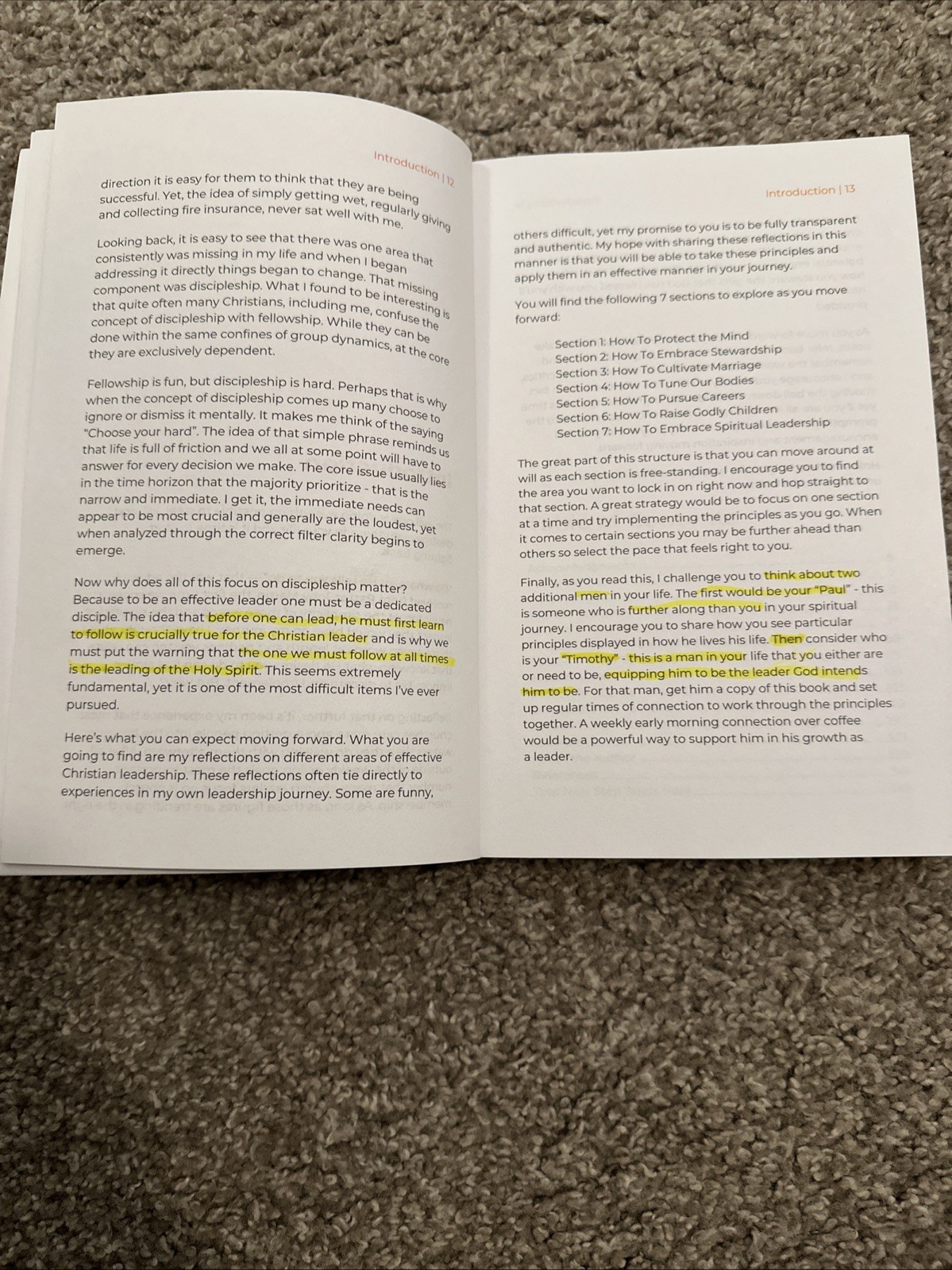 Unleashing the Lion Within by Chris Grainger 2022 Christian Men Leadership PB