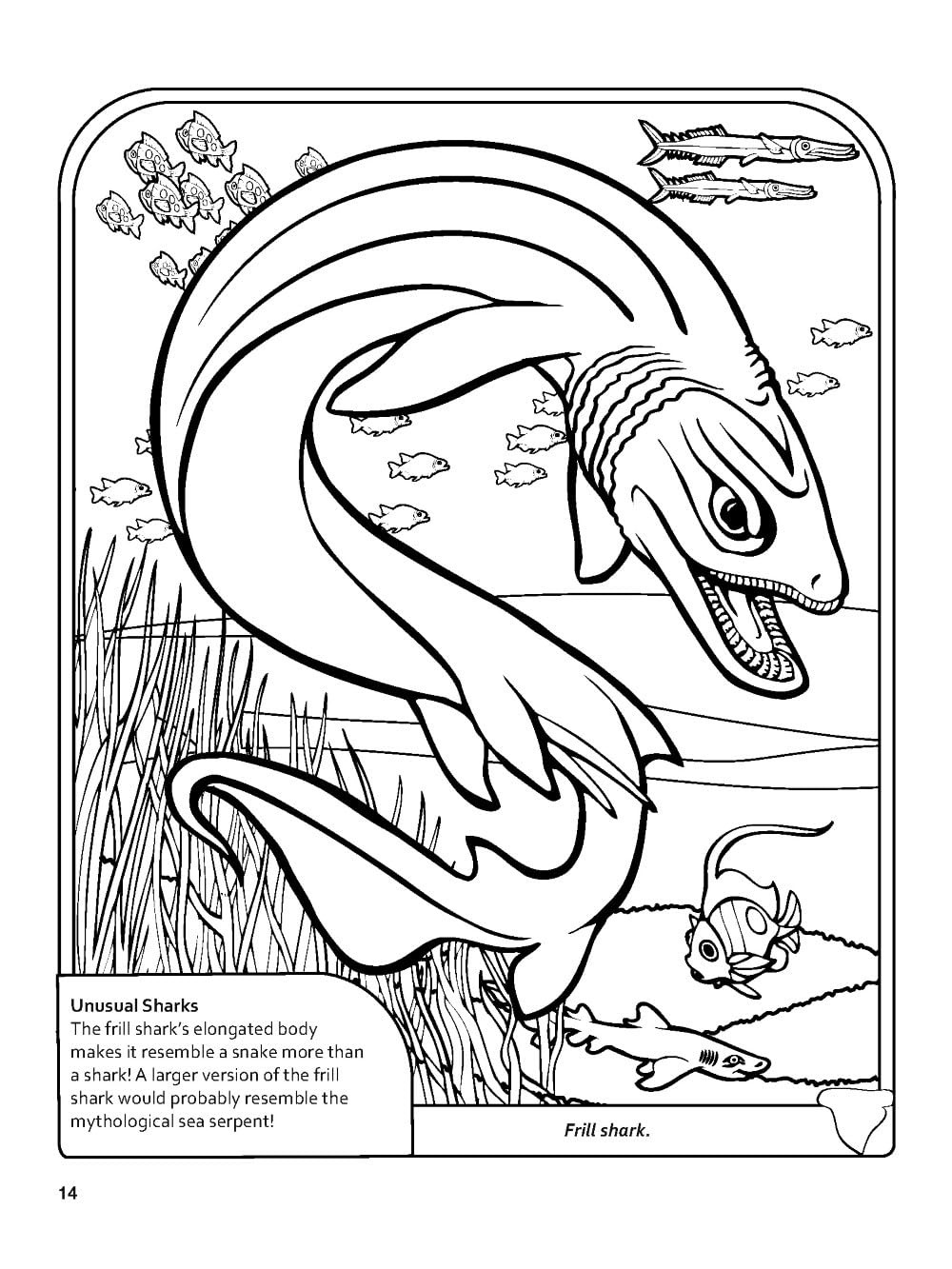 Sharks! Coloring Book (Dover Nature Coloring Book)
