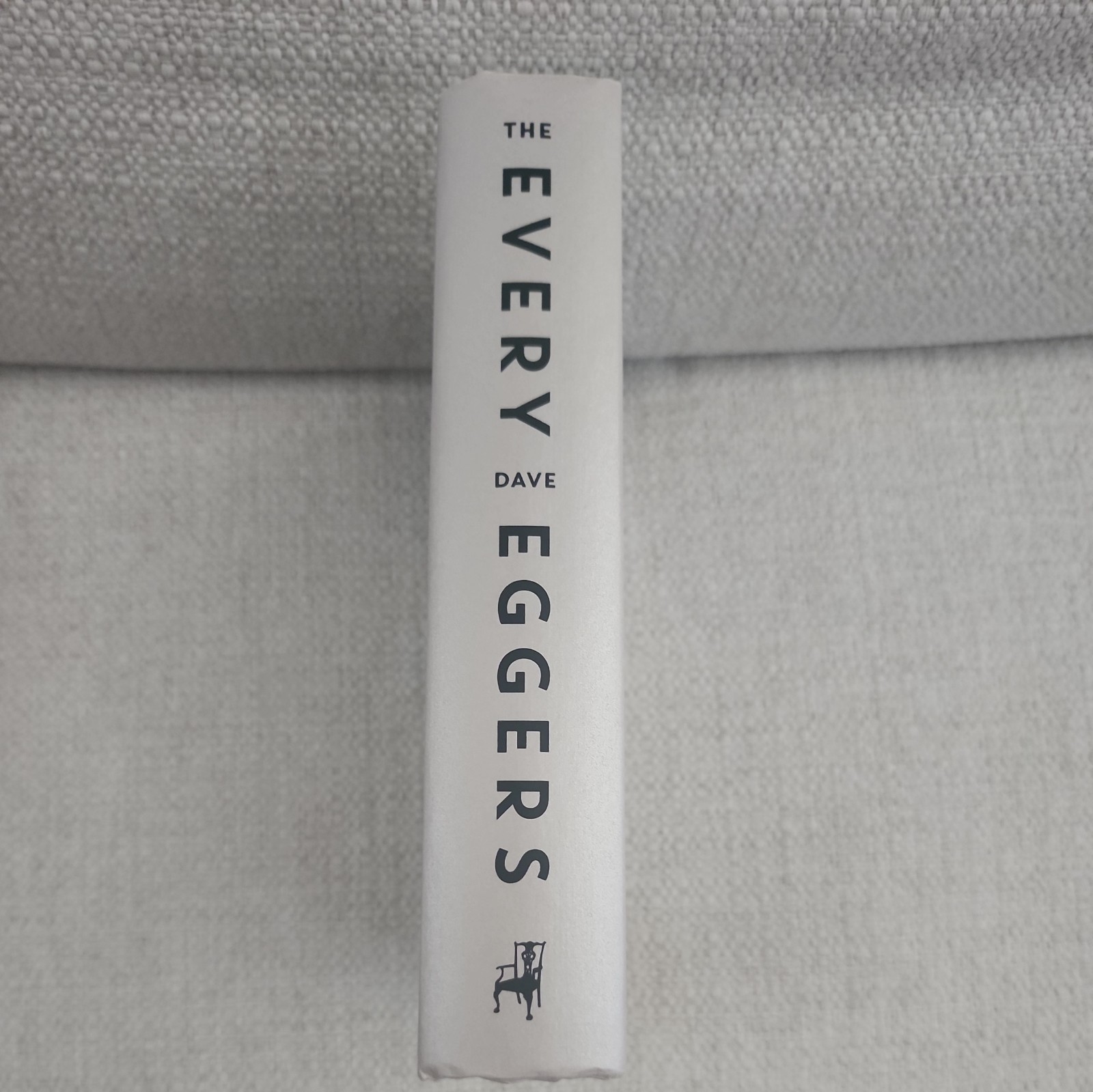 McSweeney’s Dave Eggers The Every Eyeball Cover Hardcover Dustjacket