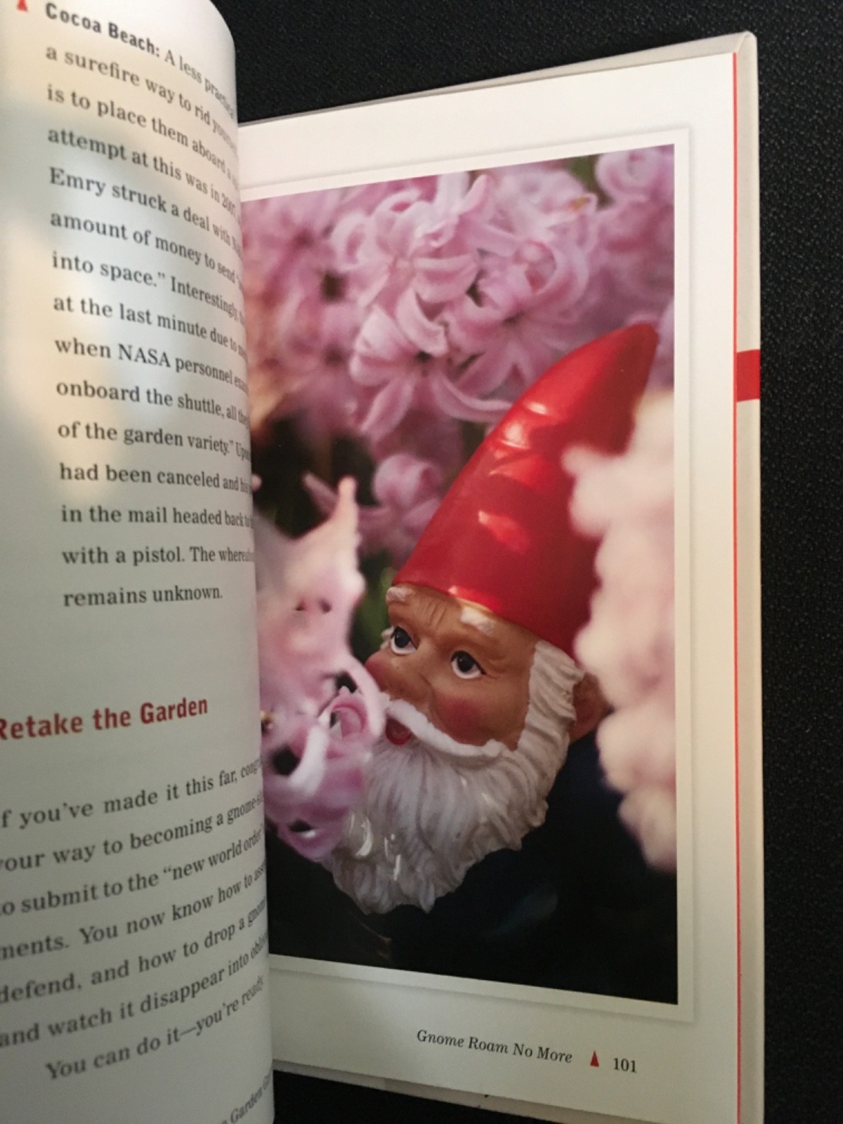 HOW TO SURVIVE A GARDEN GNOME ATTACK Lawn Warriors Defend Yourself SAMBUCHINO HC
