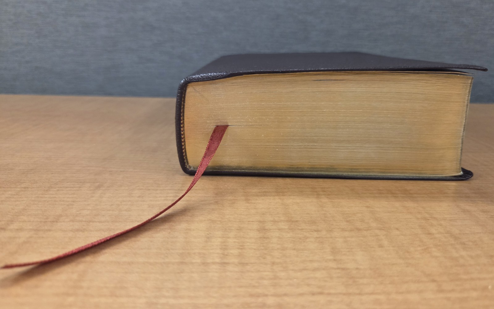Zondervan NIV Archaeological Study Bible 2005 Bonded Leather Burgundy VG