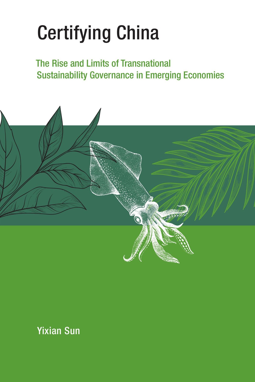 Certifying China: The Rise and Limits of Transnational Sustainability Governance