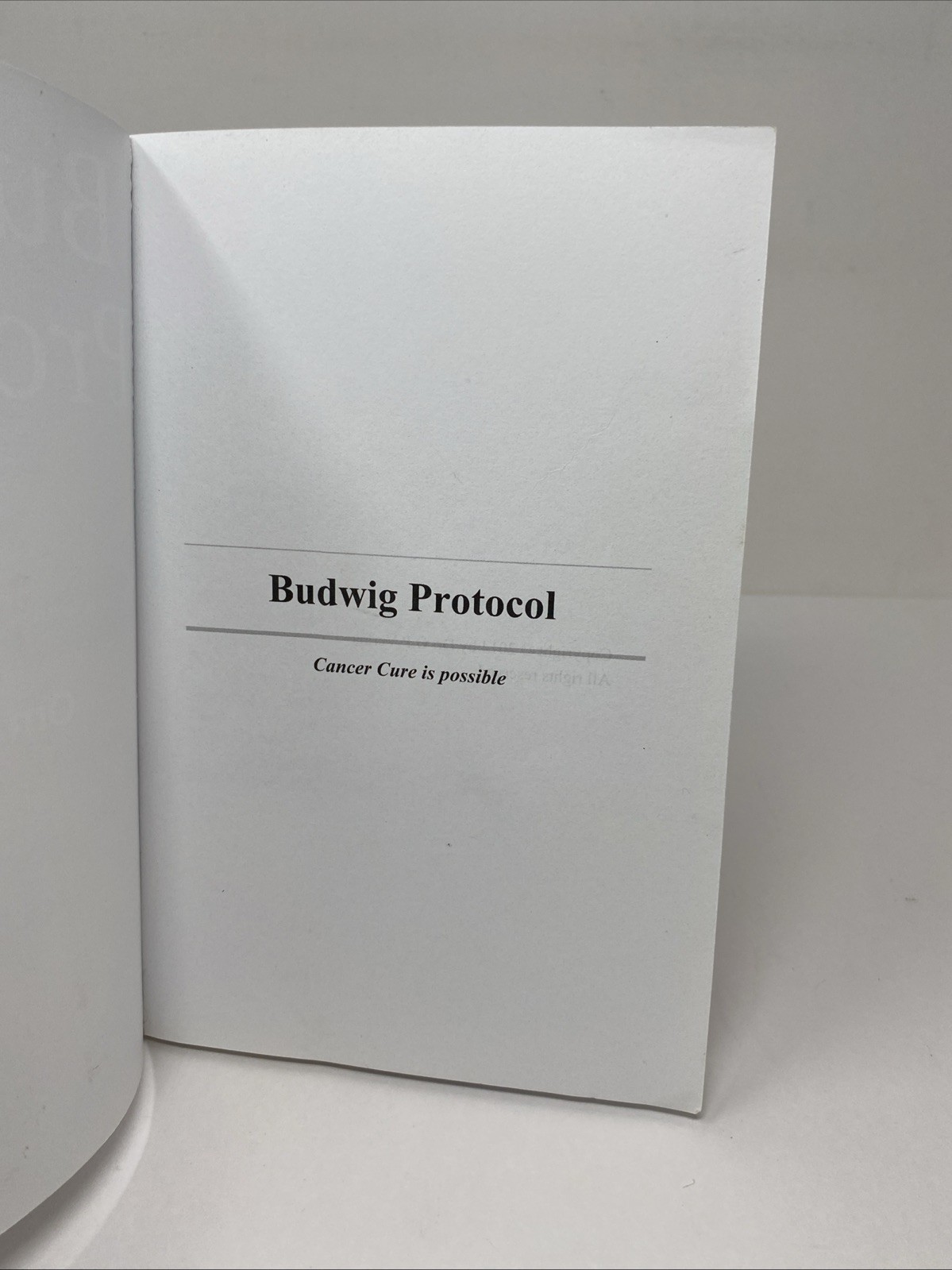 Budwig Protocol Dr. Om Verma Paperback