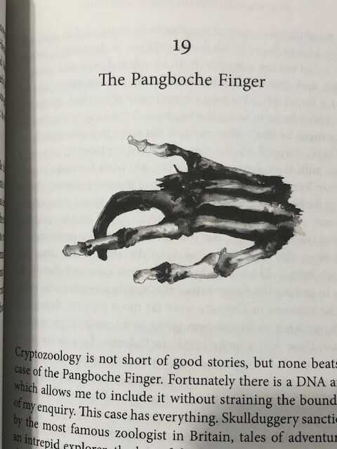Bigfoot, Yeti, and the Last Neanderthal: A Geneticist’s Search for Modern Apemen