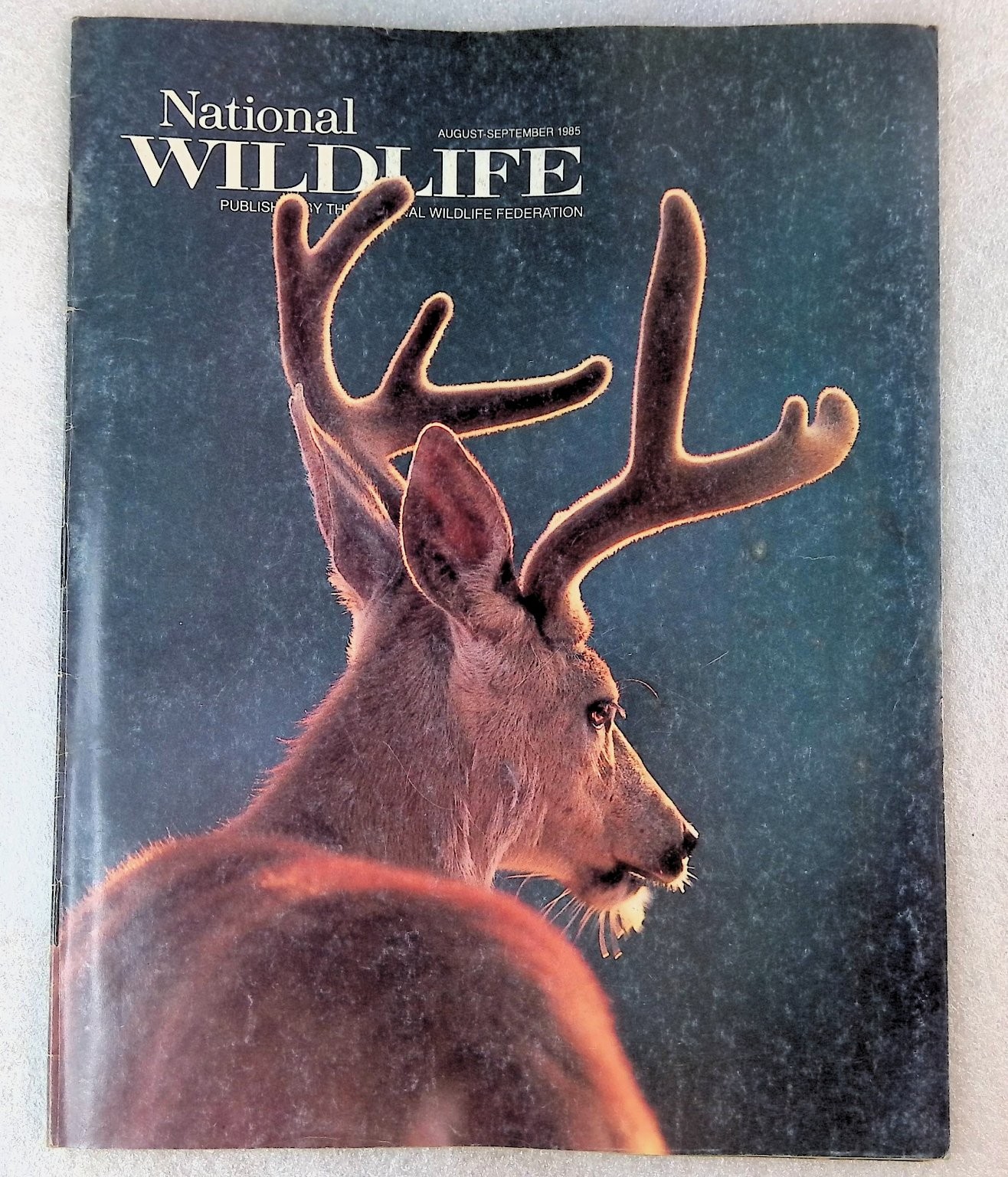 National Wildlife Magazine August-September 1985 Deer Turtle Nature National