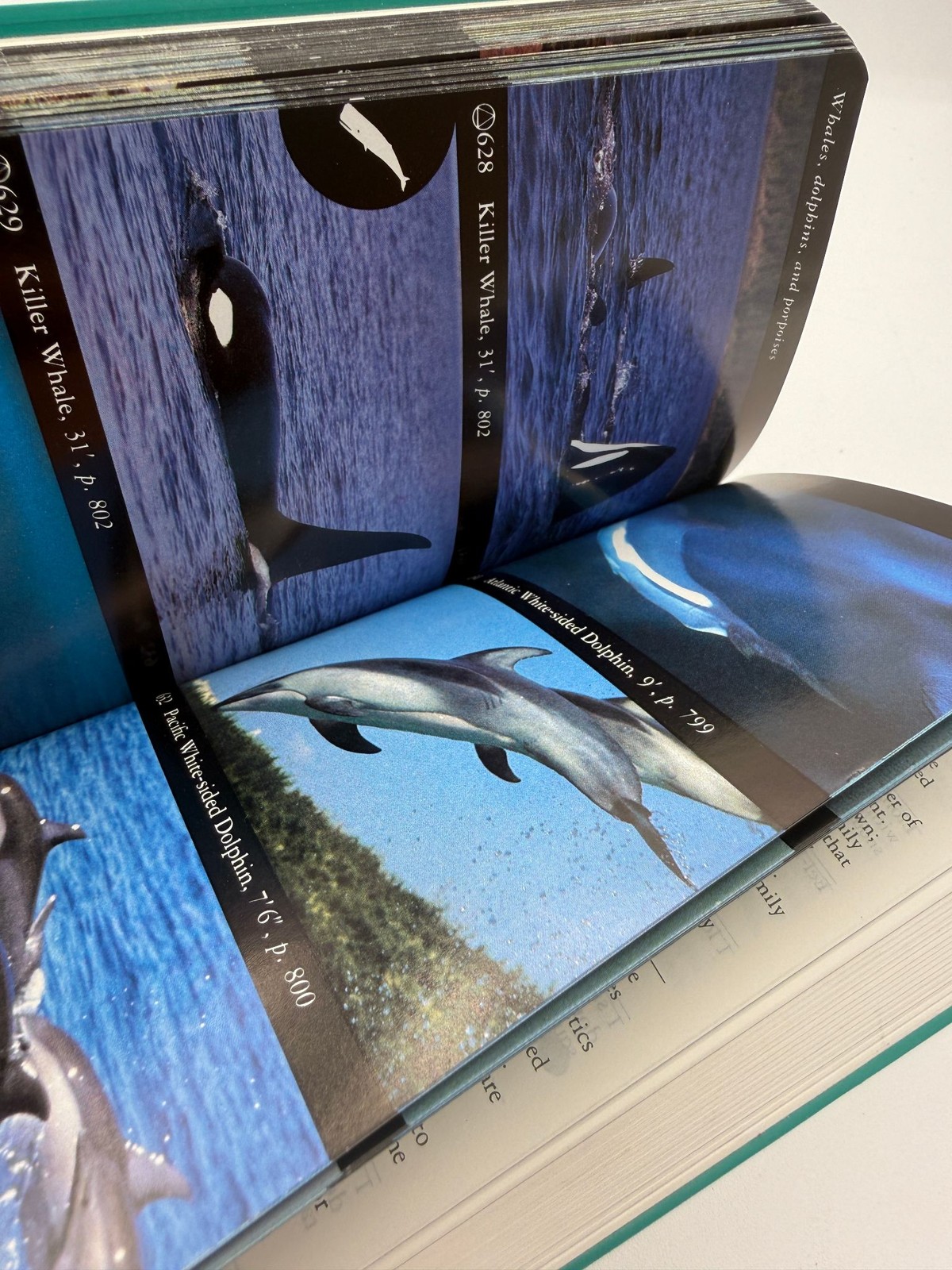 The Audubon Society Field Guide Set Fish Whales Dolphins North American Mammals