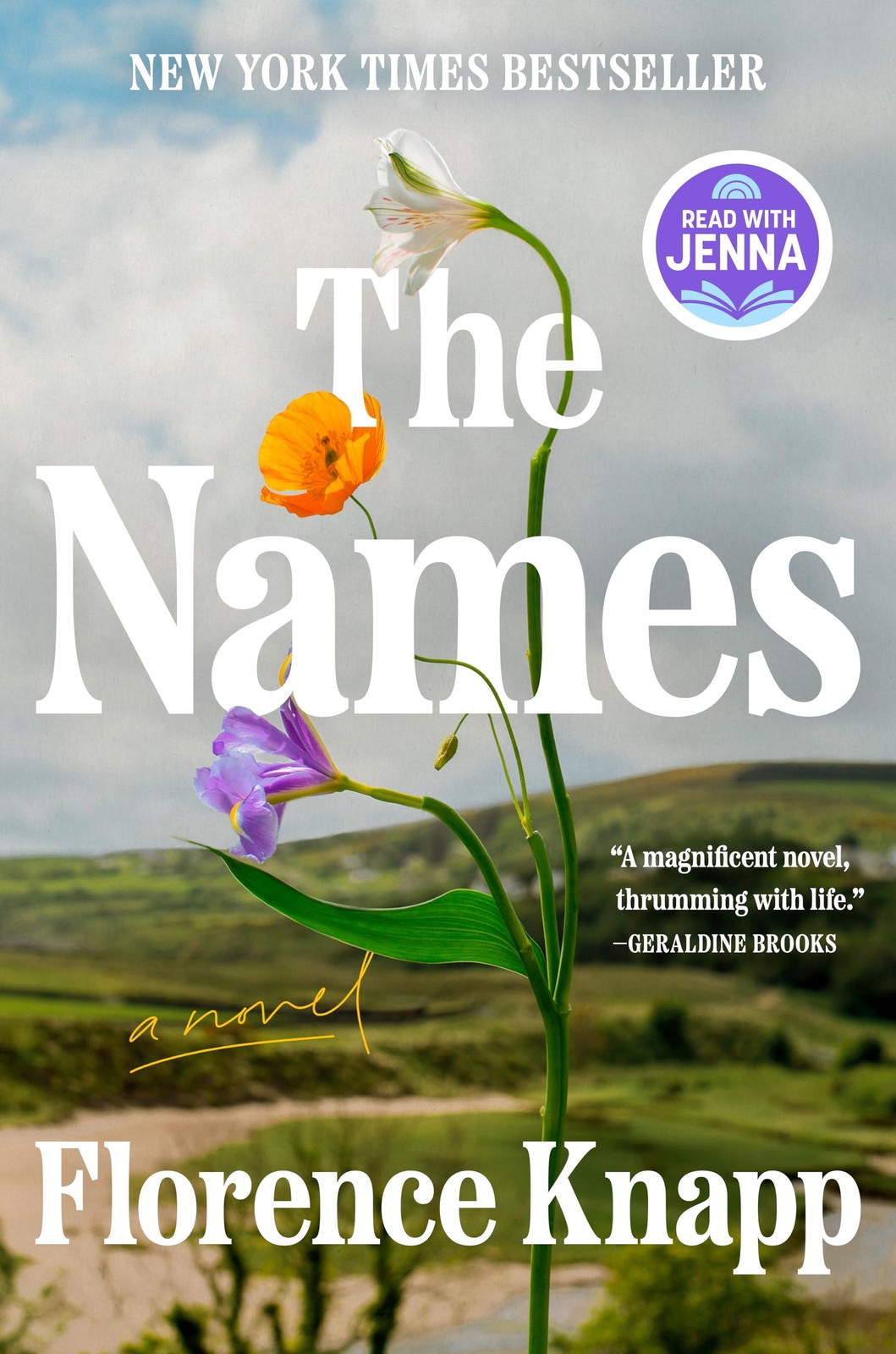 The Names: A Read with Jenna Pick: A Novel Silver
