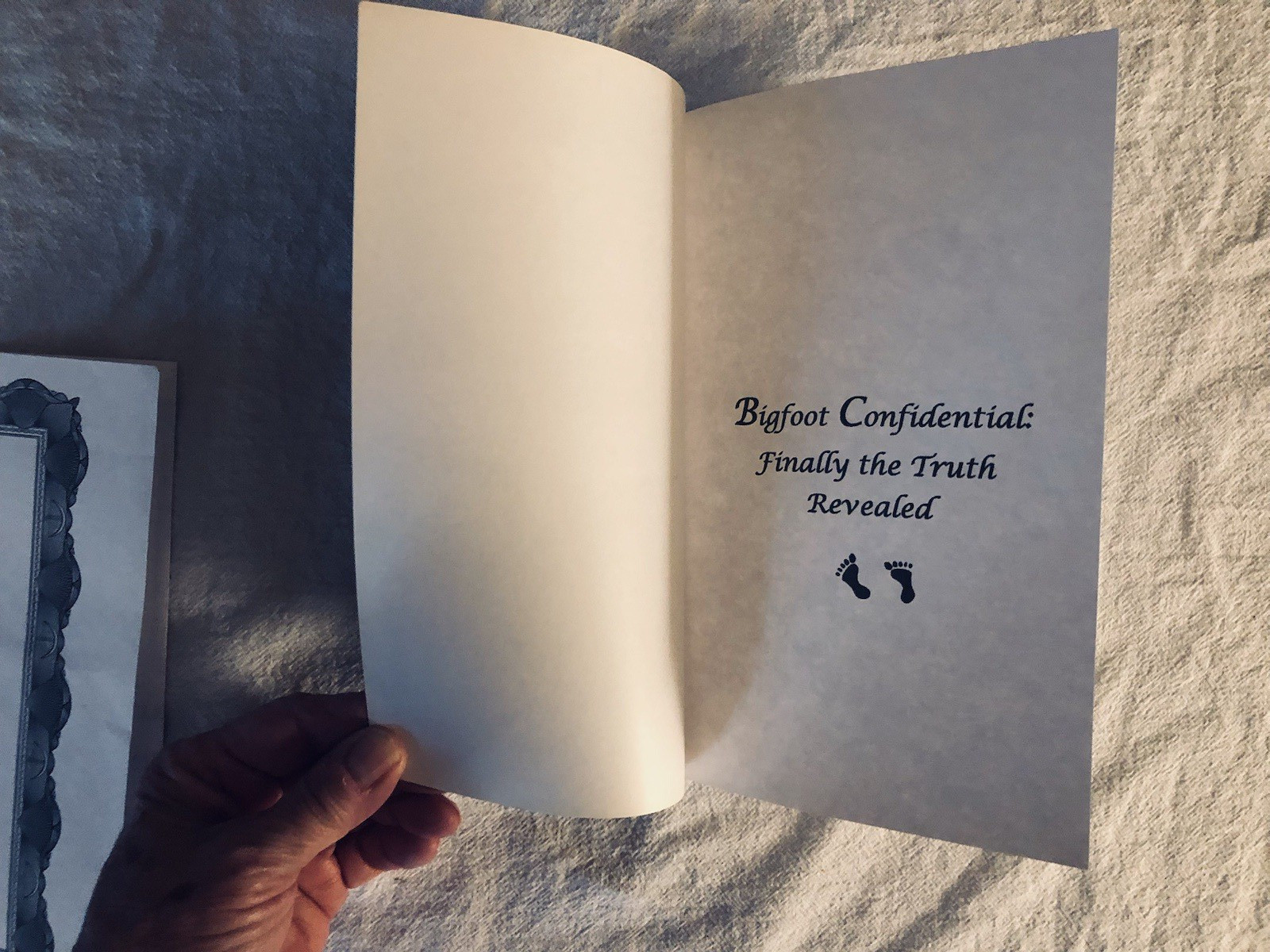 RARE! Bigfoot Confidential Finally the Truth by Foster & Turner TPB/FE 2012