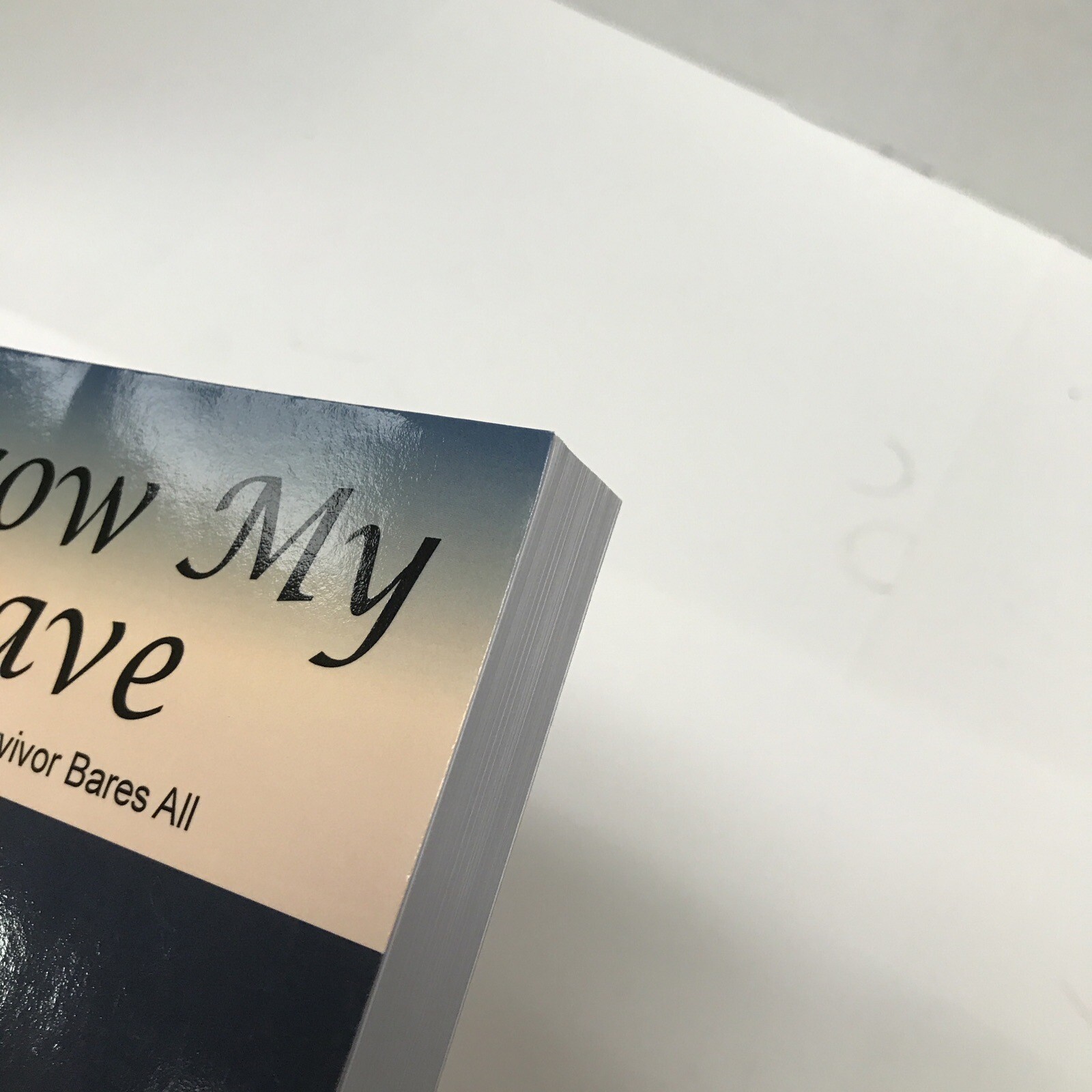 Borrow My Brave by Nicole J. Phillips pbk 2021 inscribed