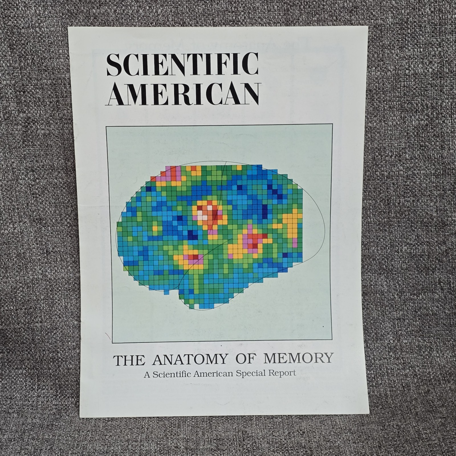 Scientific American Offprints 10- Vintage Pamphlets In Dust Cover – Brain/Memory