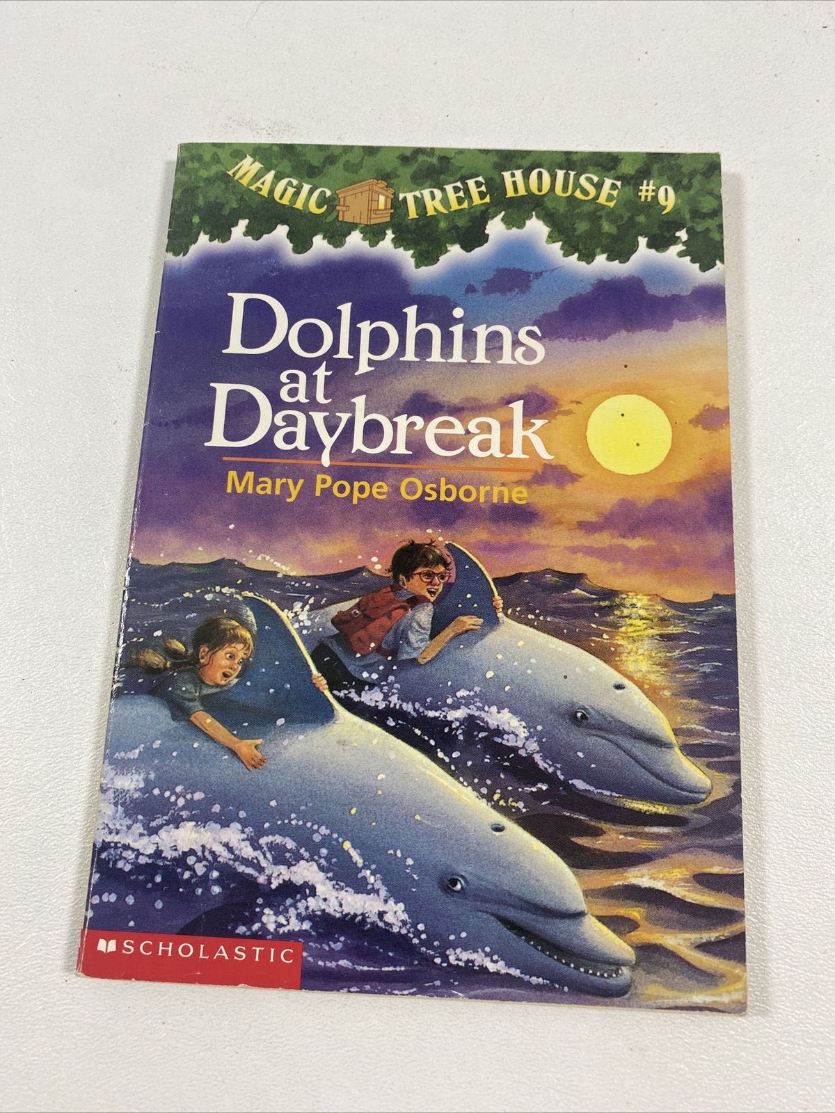 Dolphins at Daybreak #9 – Mary Pope Osborne (1997, Paperback)