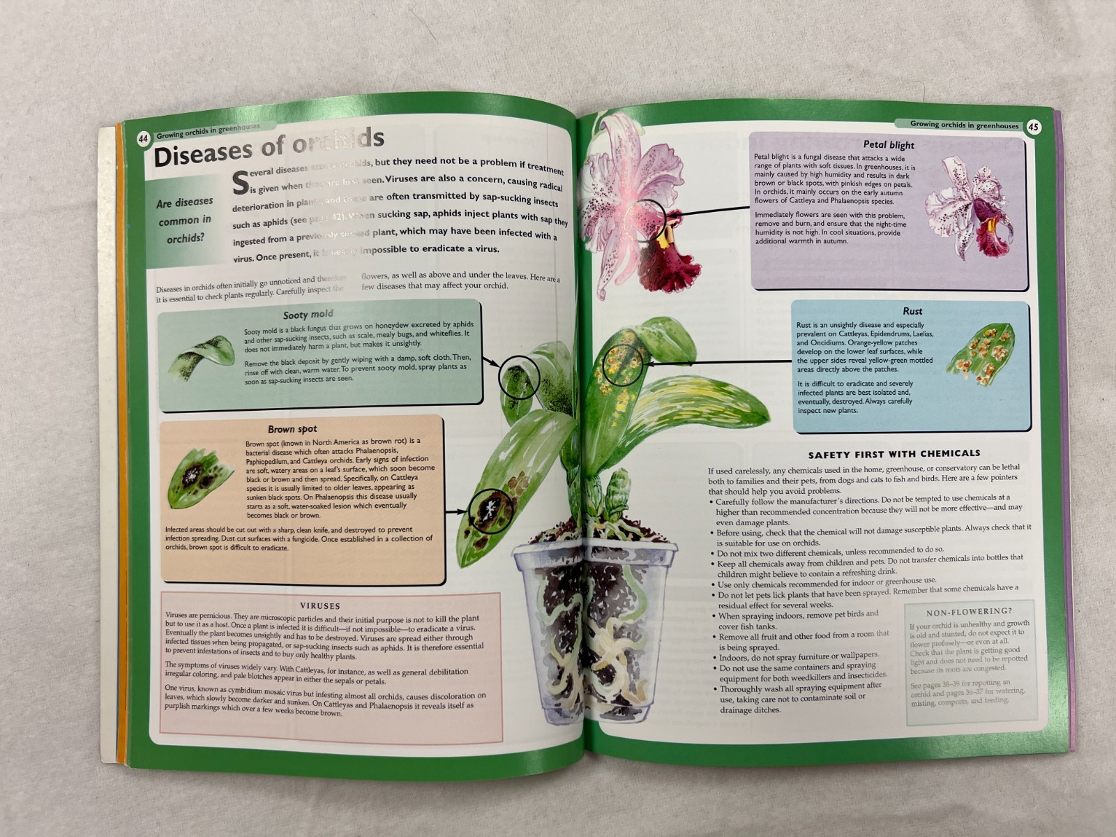Gardening Essentials- Perennials (HB) &Bonsai & Orchids (PB)