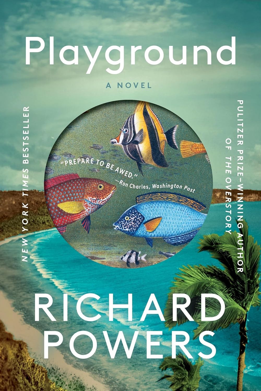 Playground : A Novel by Richard Powers (2025, Trade Paperback)