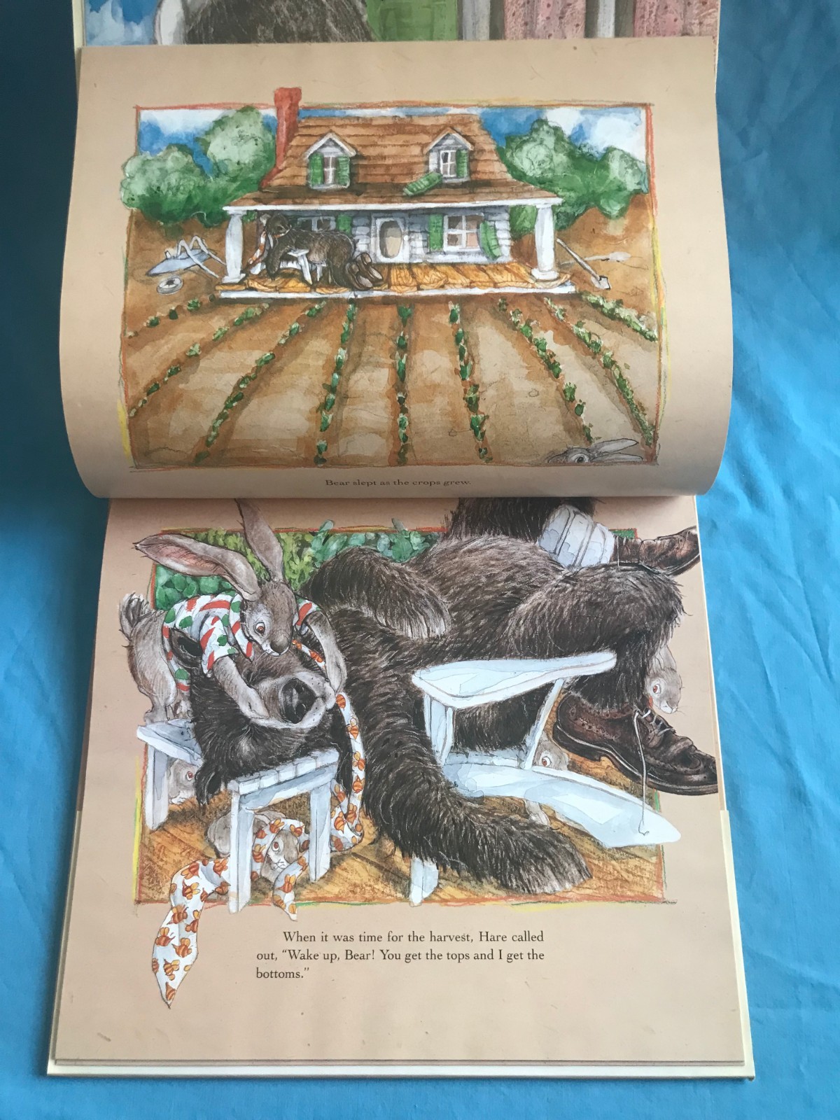 Tops and Bottoms by Janet Stevens (1995, Hardcover) ~ Caldecott Honor Book