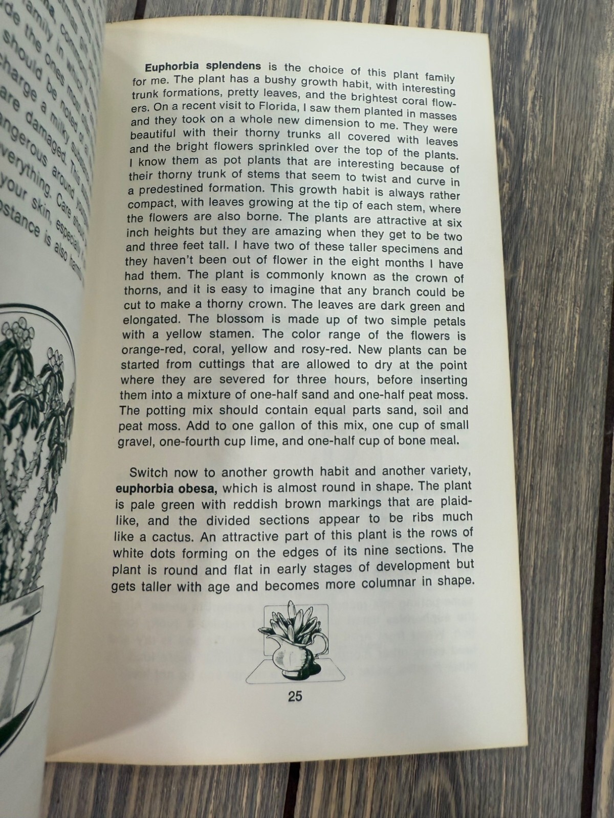 Gardening With Succulents By Rex E. Mabe Potpourri Press 1974 Softcover Book