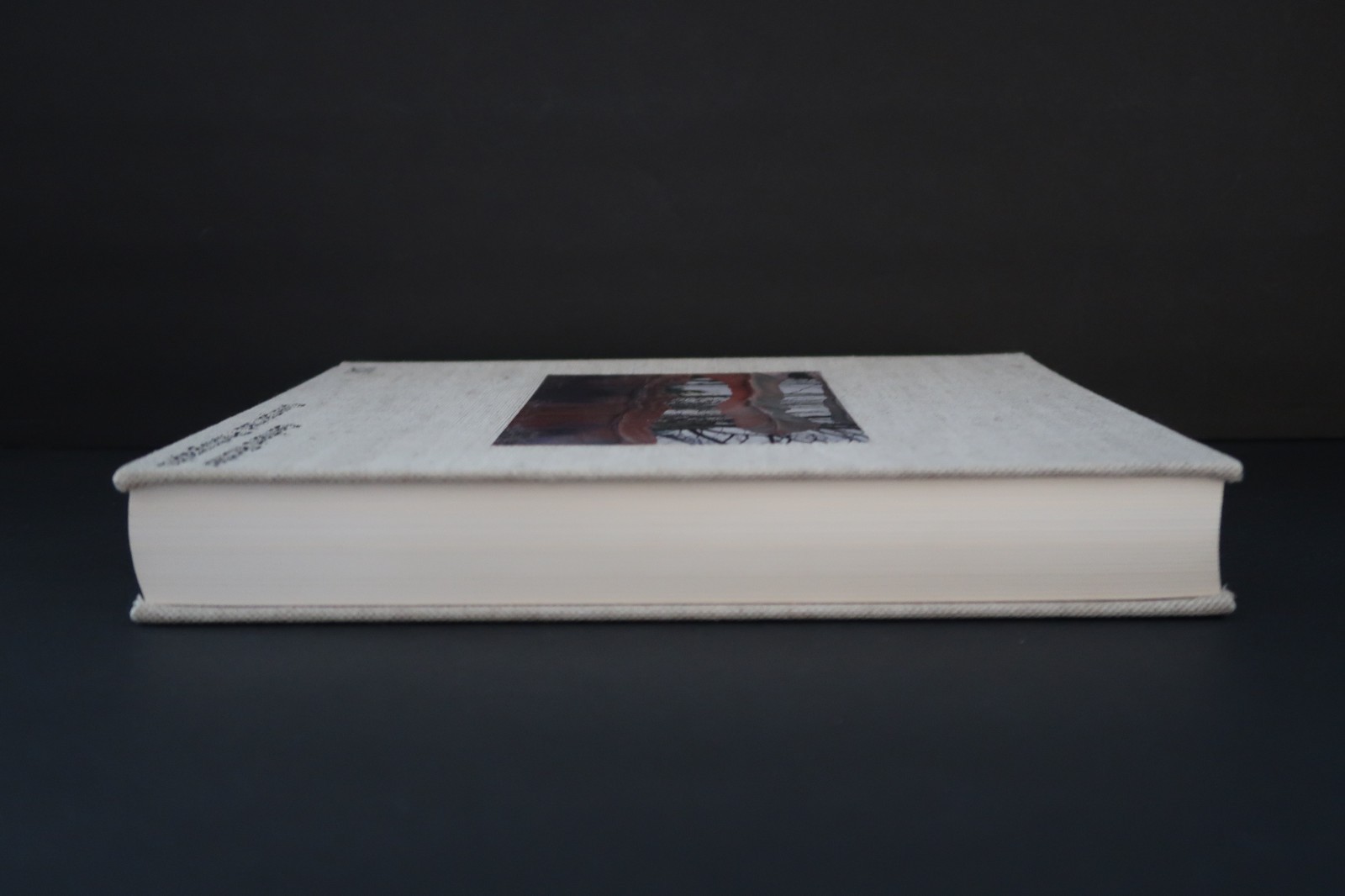 Gerhard Richter Overpainted Photographs Hardcover Book 1st Edition 2008 392pp